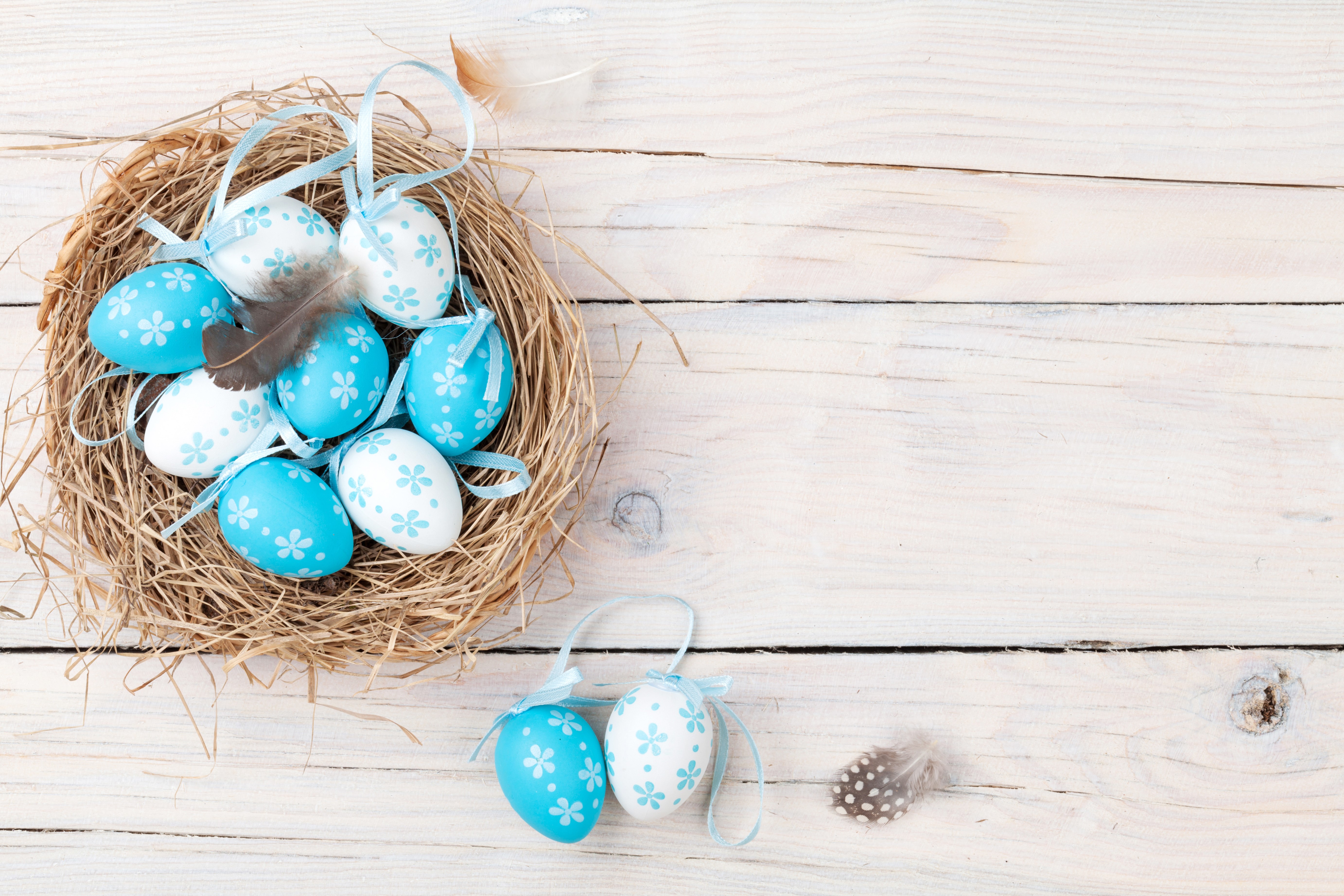 Easter Eggs in a Nest on Wood Planks HD Wallpaper