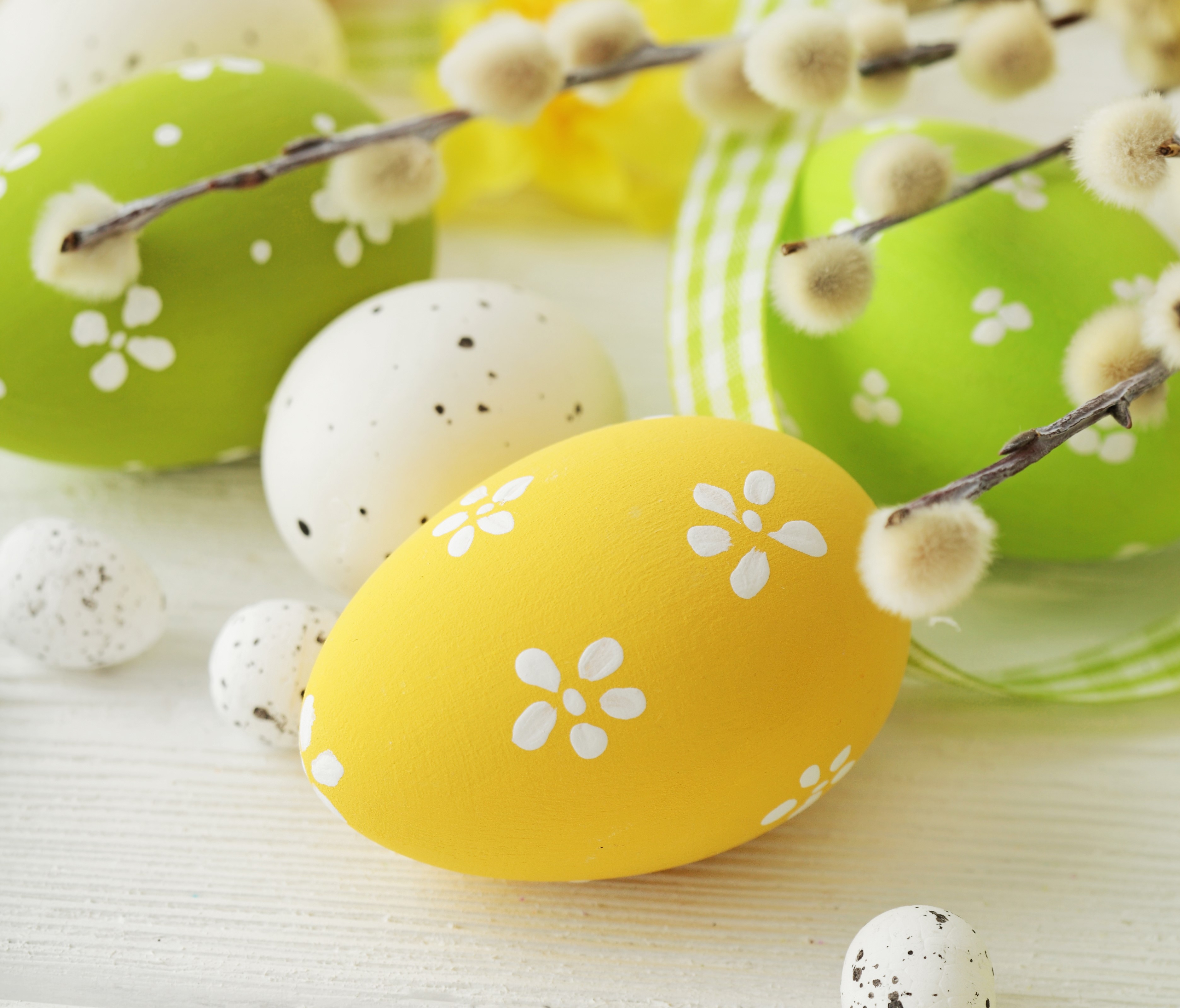 Easter Eggs with Pussy Willow Branches HD Wallpaper