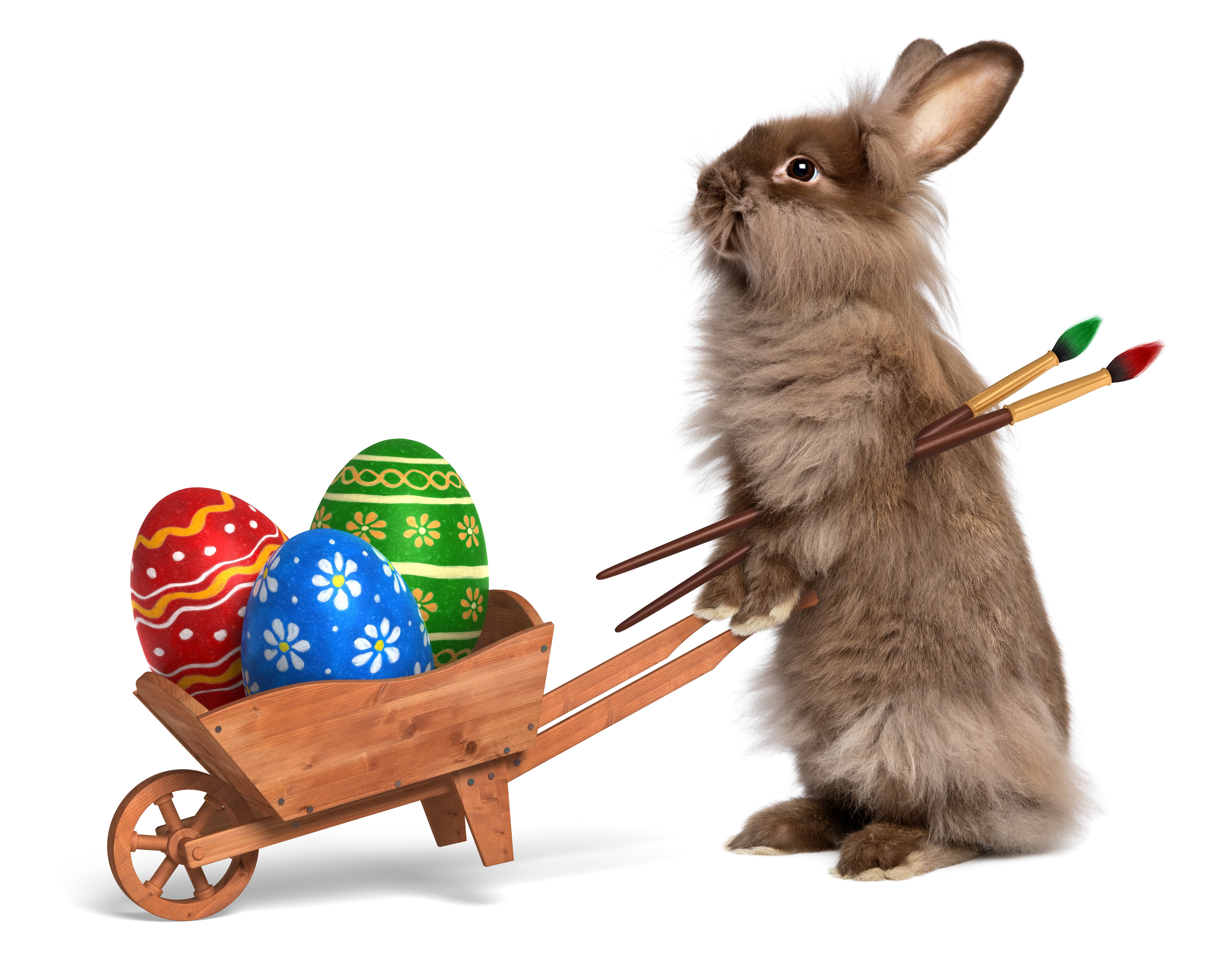 Easter Bunny with Painted Eggs and Paintbrushes HD Wallpaper