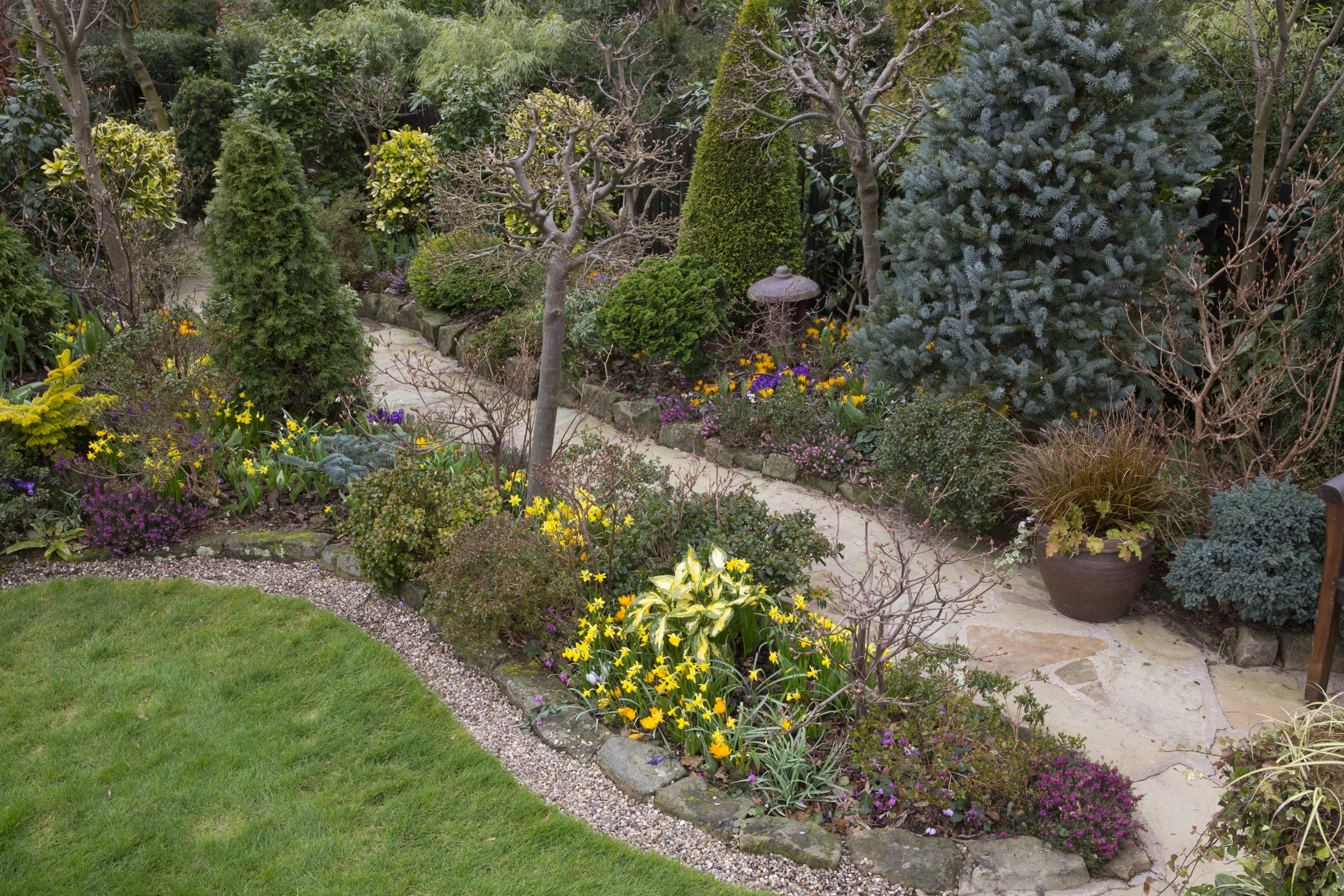 Walsall Garden in England with shrubs and spruce HD Wallpaper
