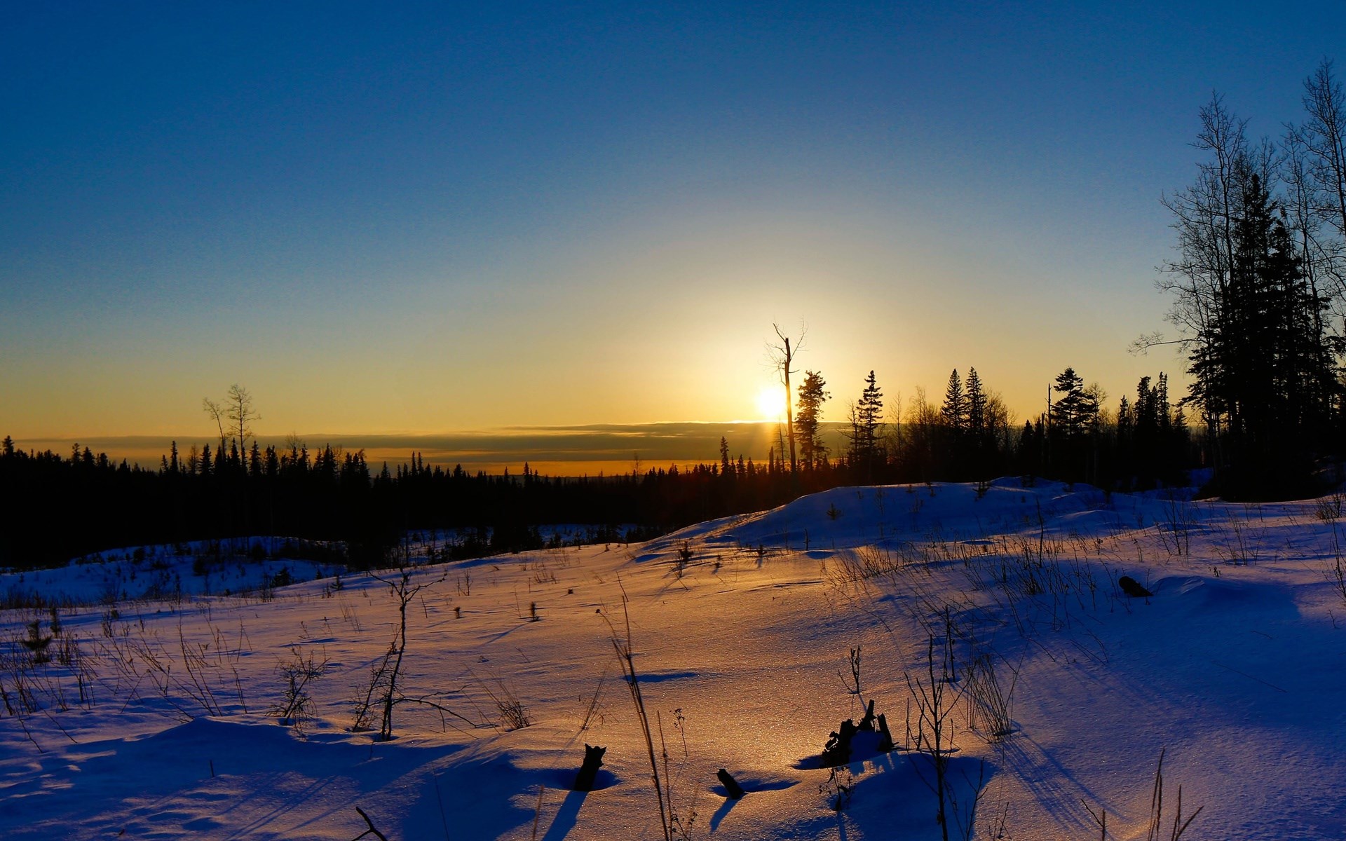 Sunset over a snowy forest landscape HD Wallpaper
