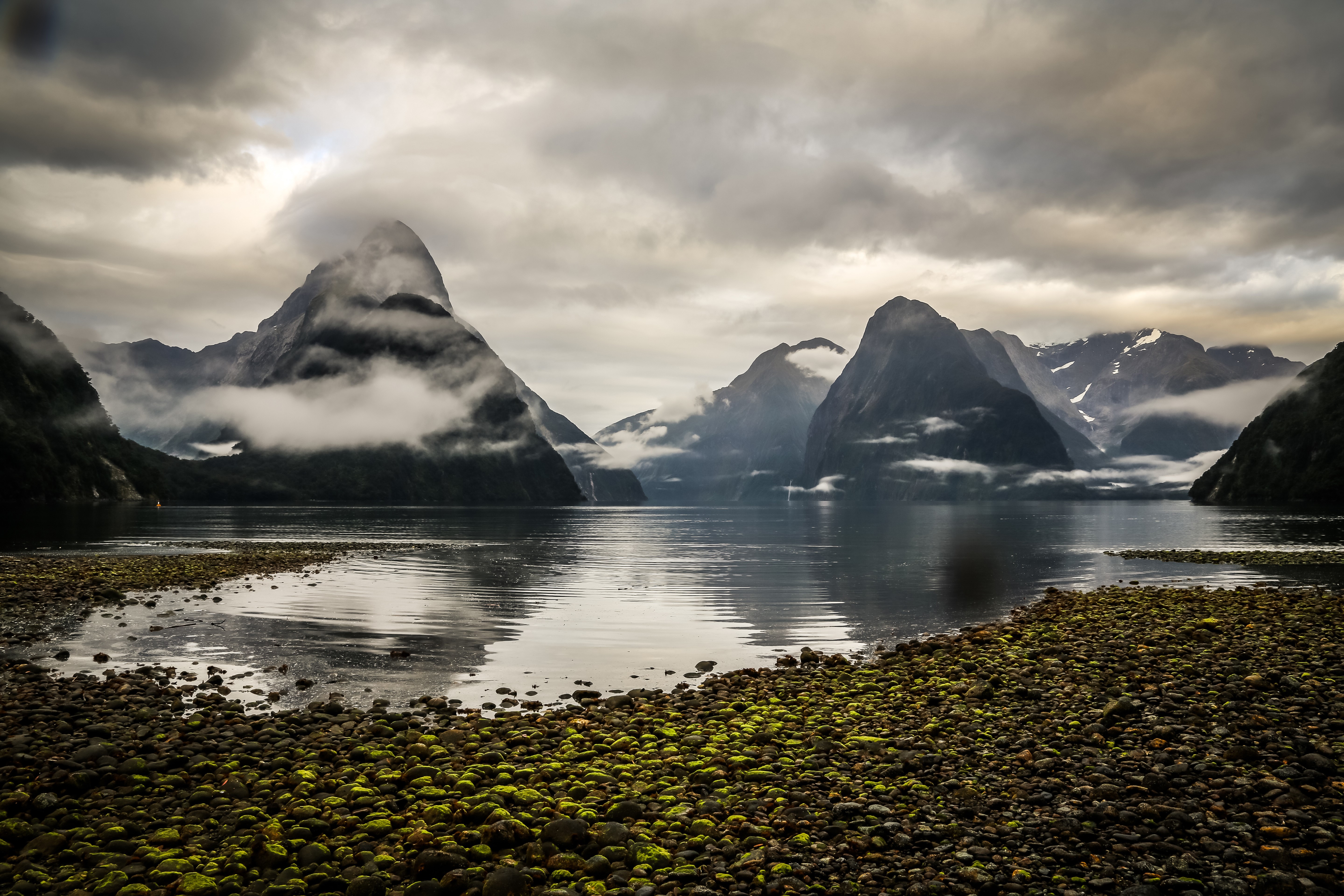 Milford Sound Fjord, New Zealand HD Wallpaper