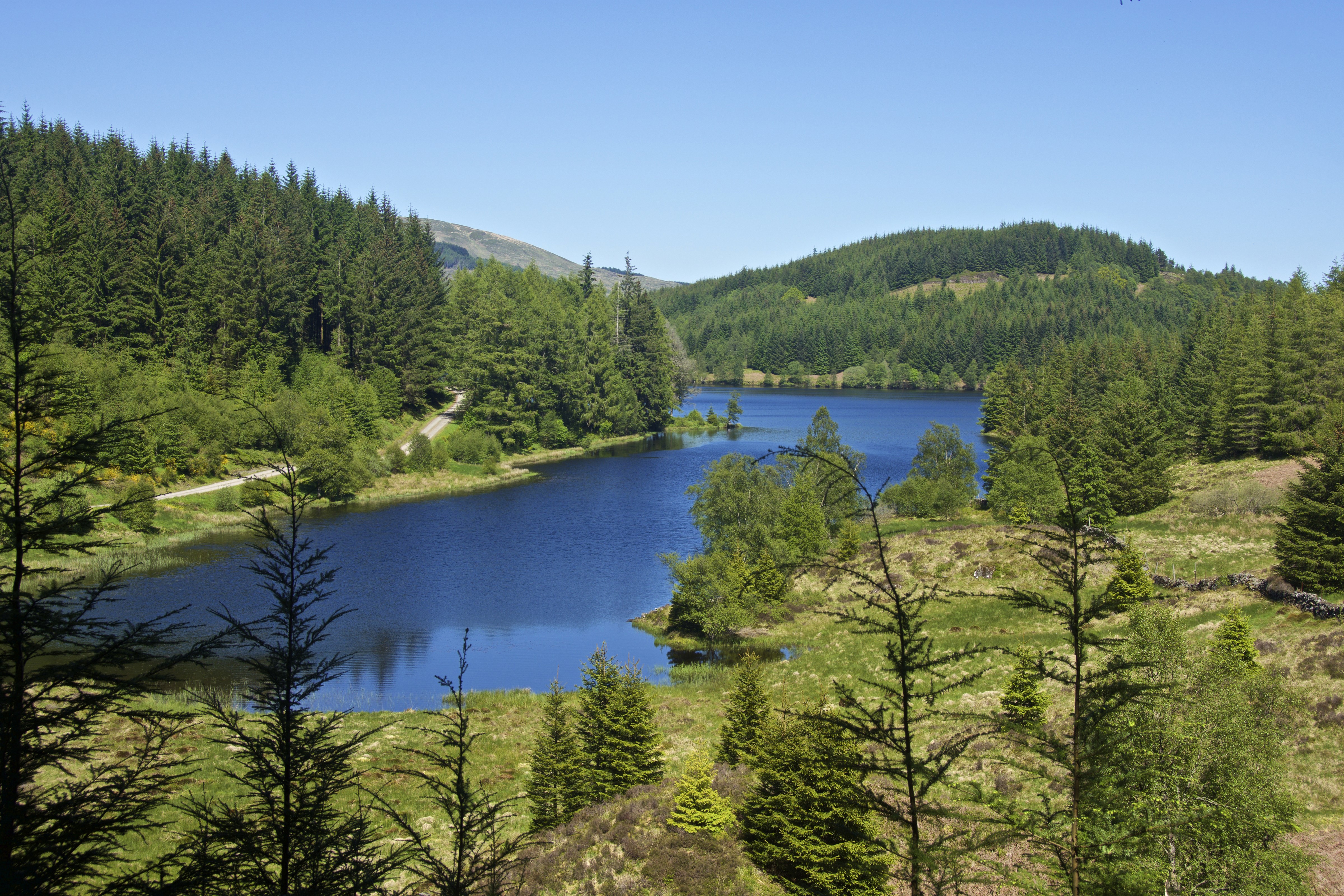 Loch Drunkie, Scotland, Lake and Forests HD Wallpaper