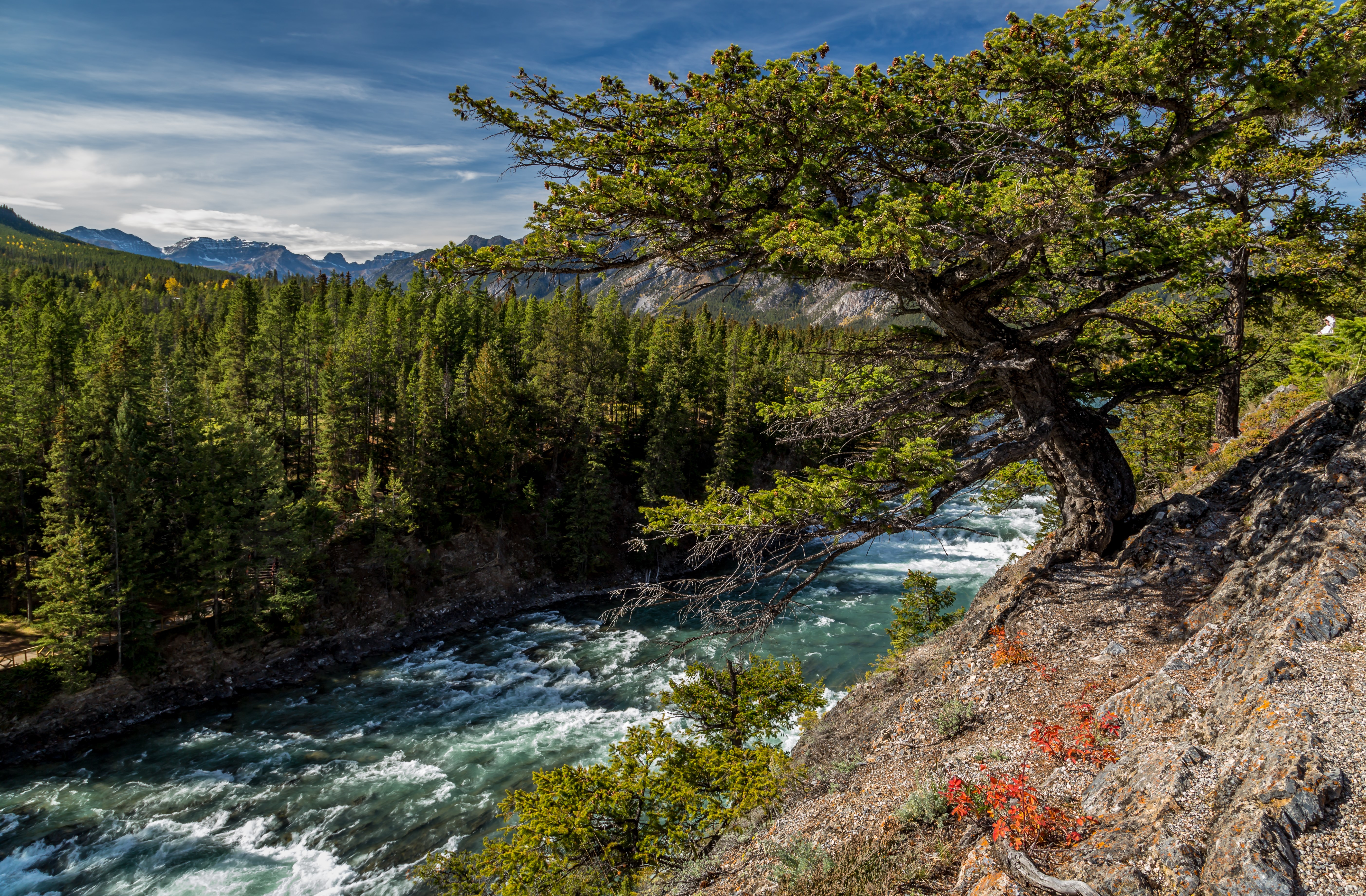 River flowing through Banff National Park, Canada HD Wallpaper