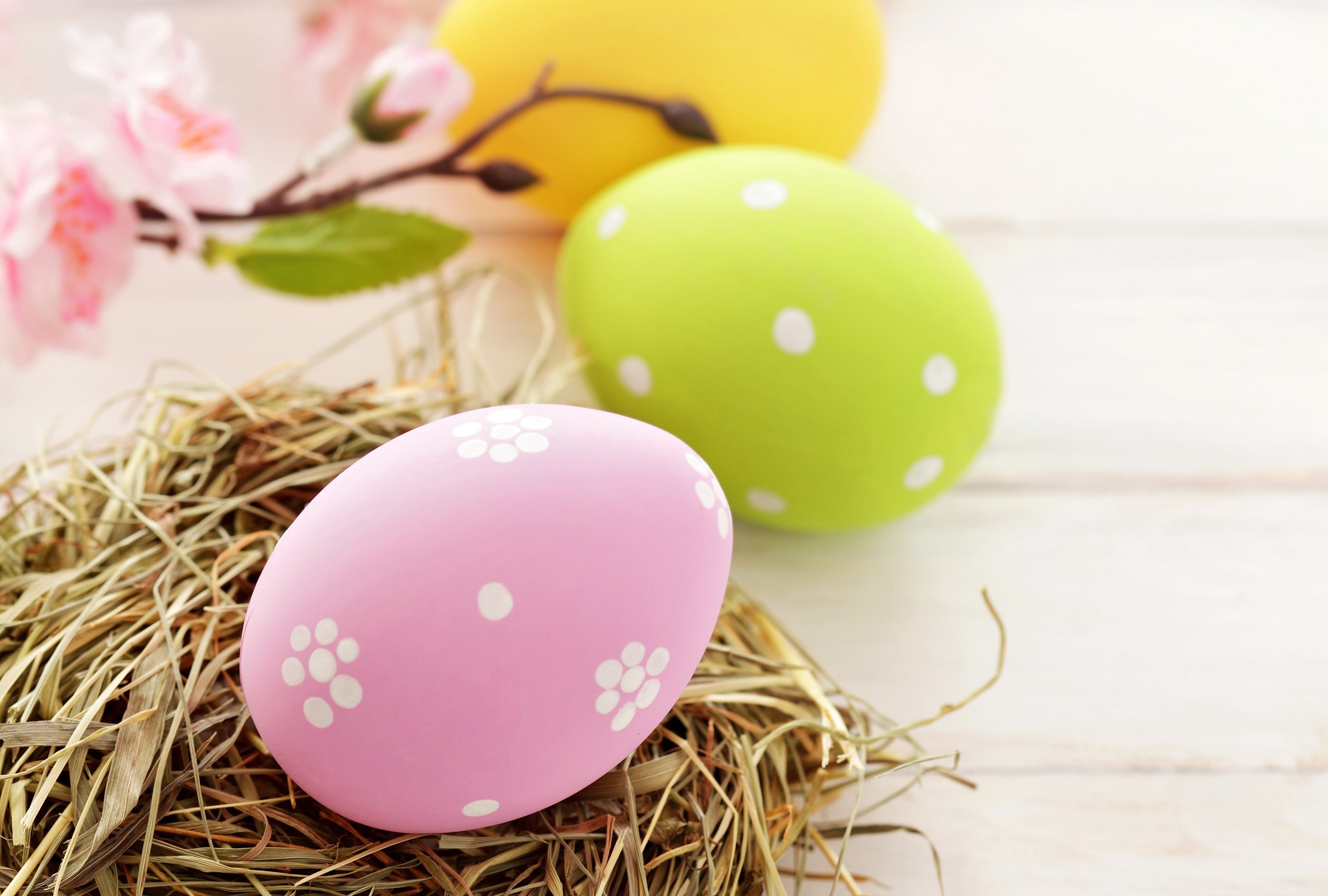 Easter Eggs in a Nest with Flowers HD Wallpaper