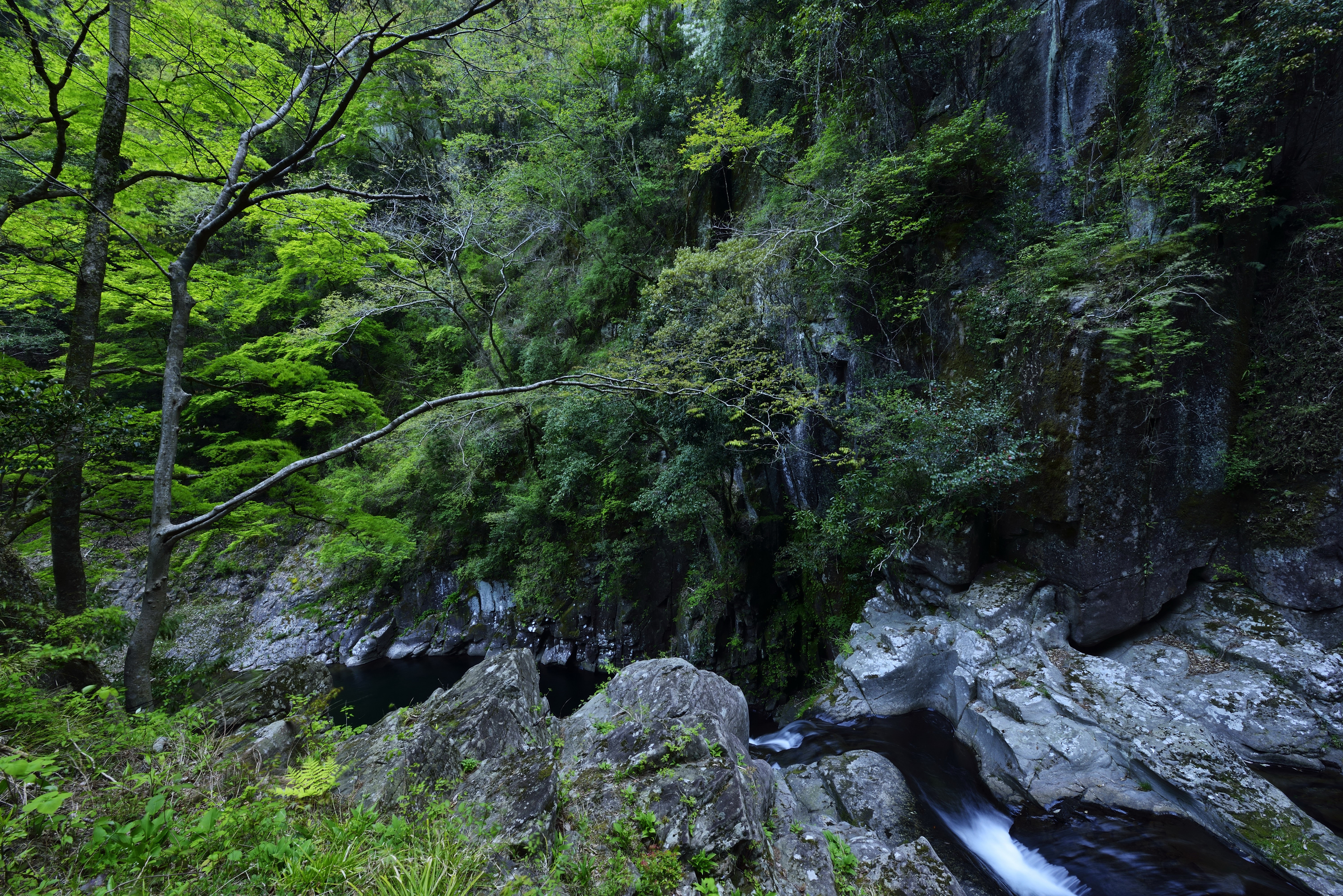 Waterfall in a lush green forest with rocky terrain HD Wallpaper