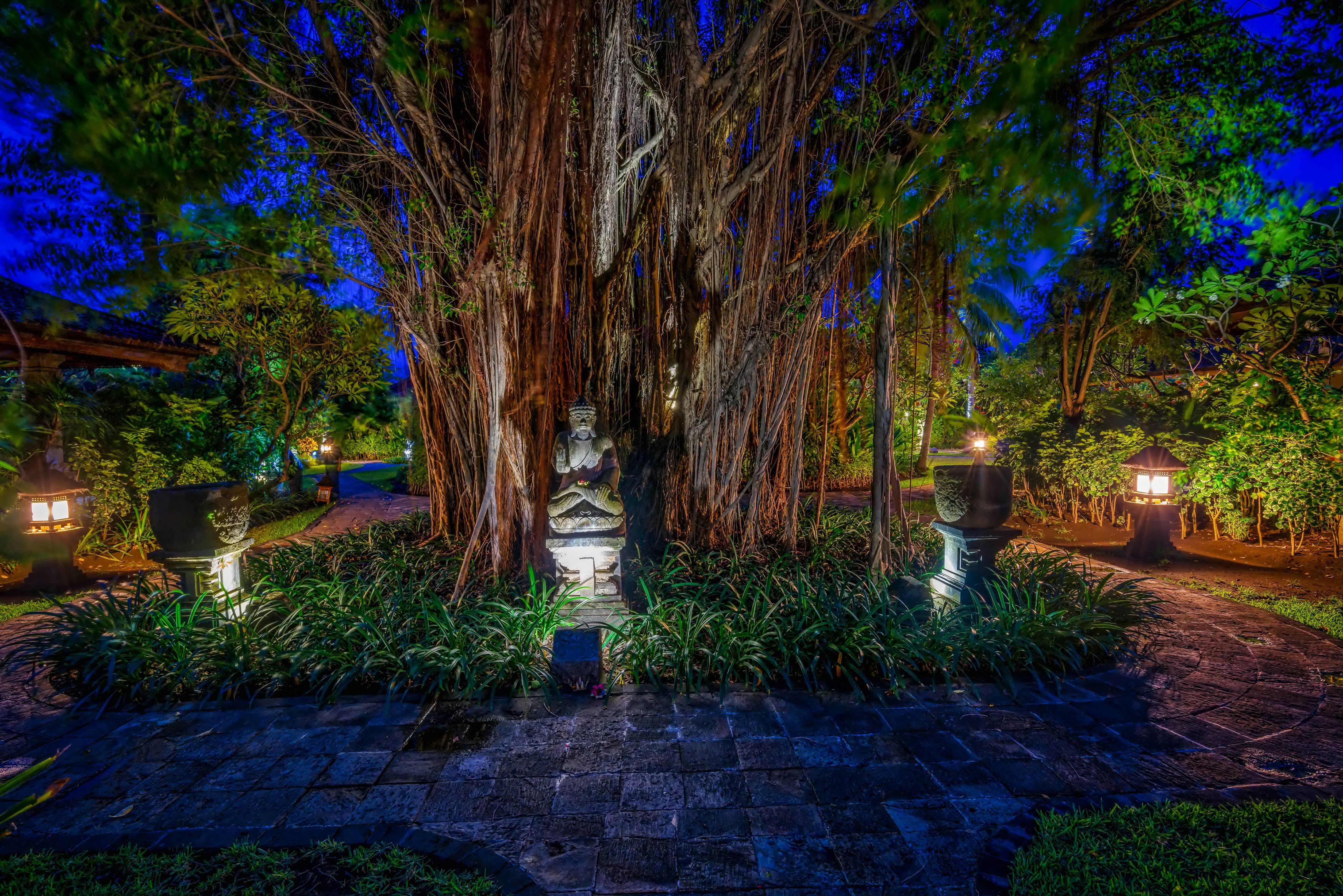 Night garden with banyan tree and statue in Bali HD Wallpaper