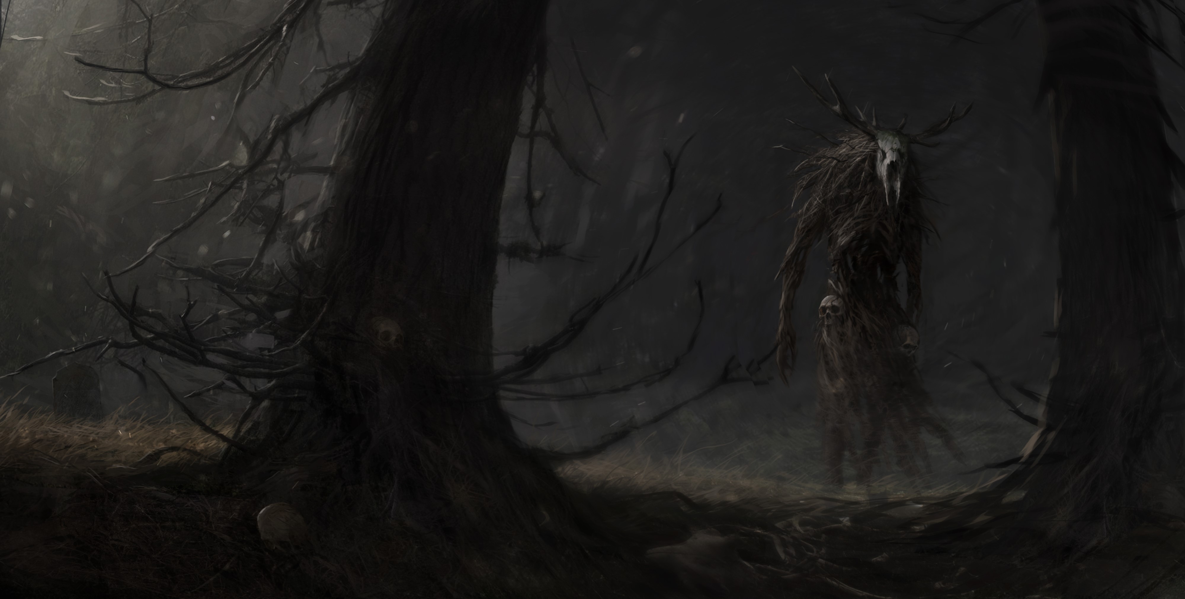 4K The Witcher 3 Shaman in a dark forest HD Wallpaper
