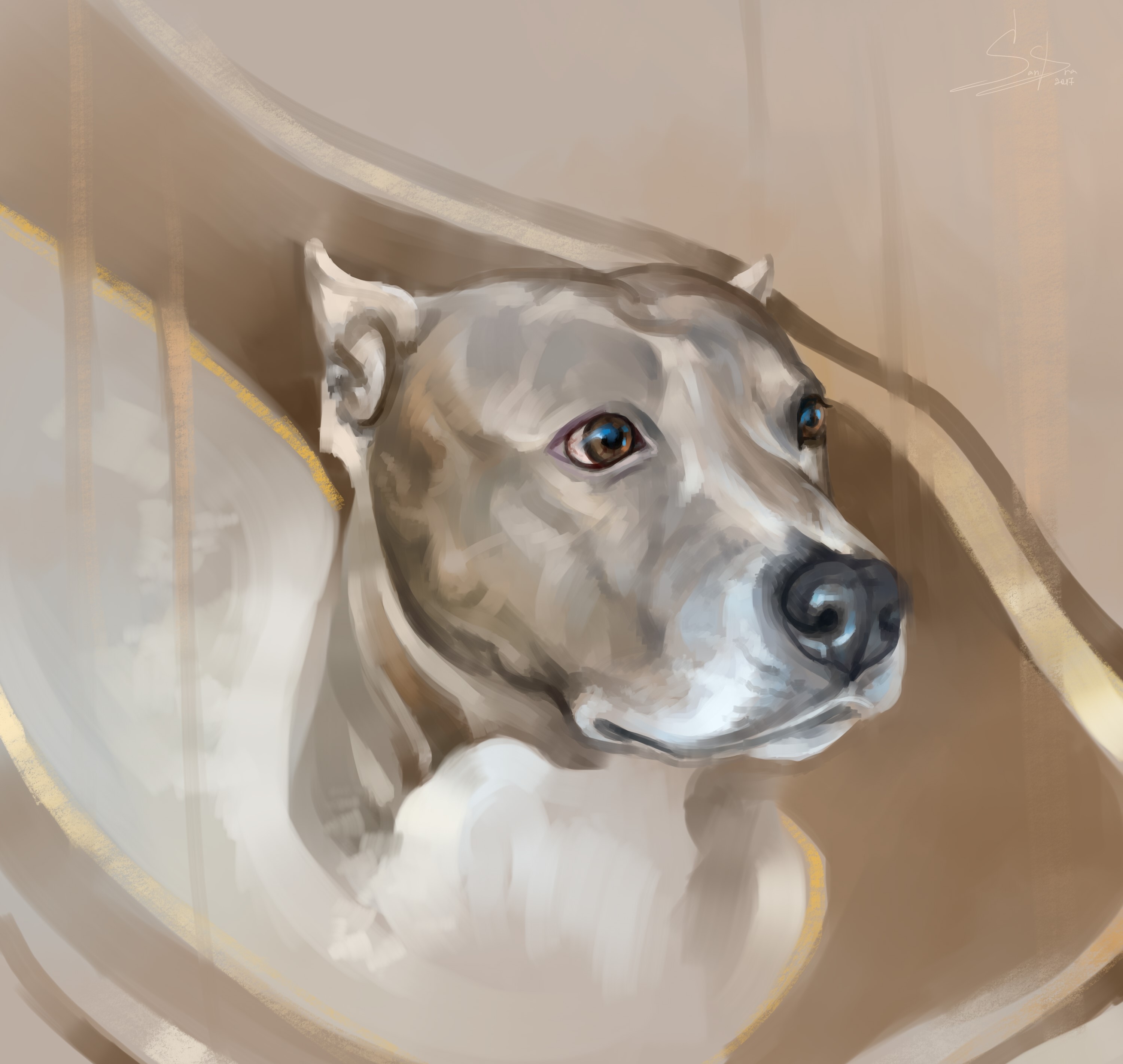 Painting of a dog's head HD Wallpaper