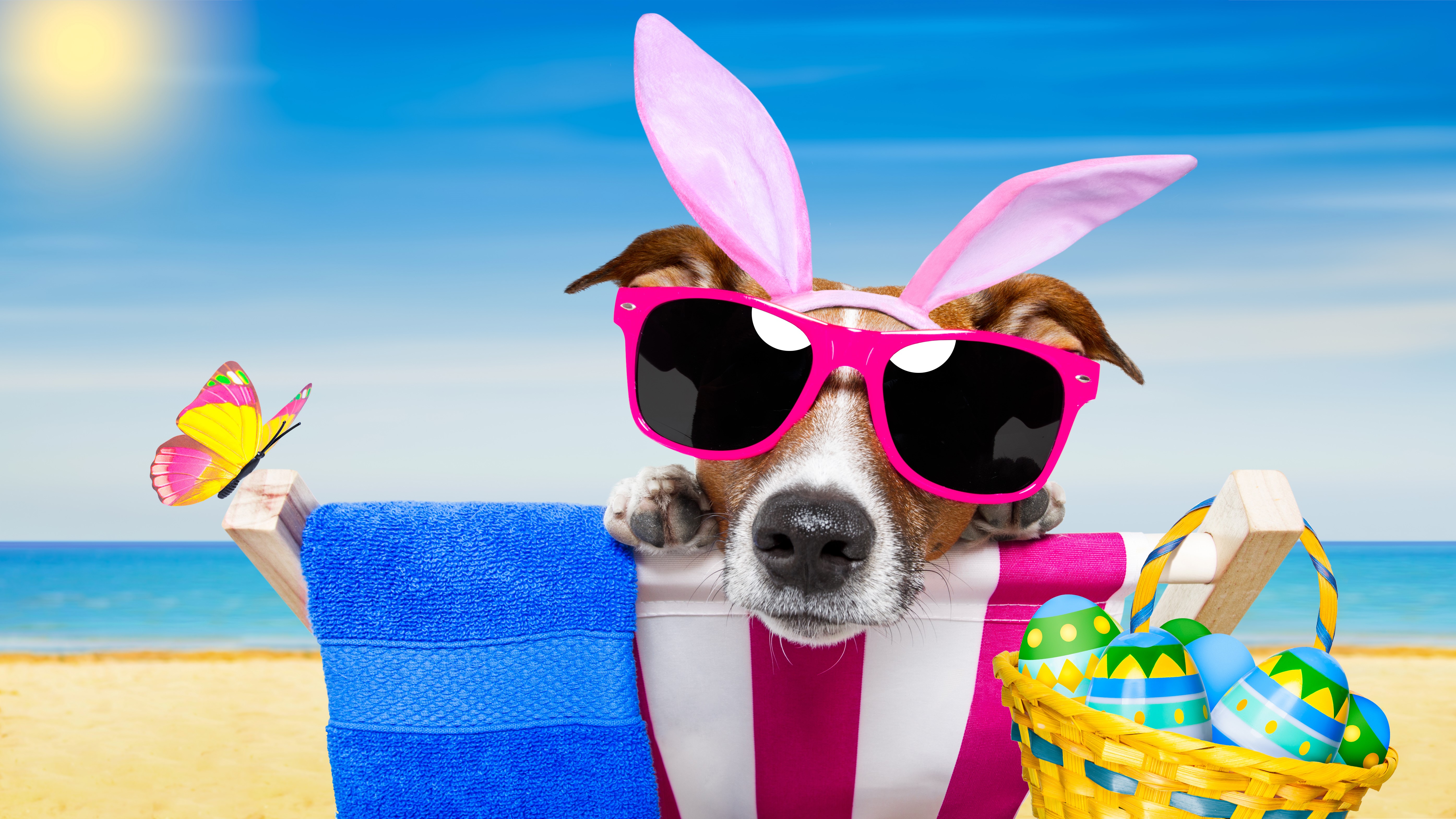 Dog with Easter Bunny Ears and Sunglasses on Beach HD Wallpaper