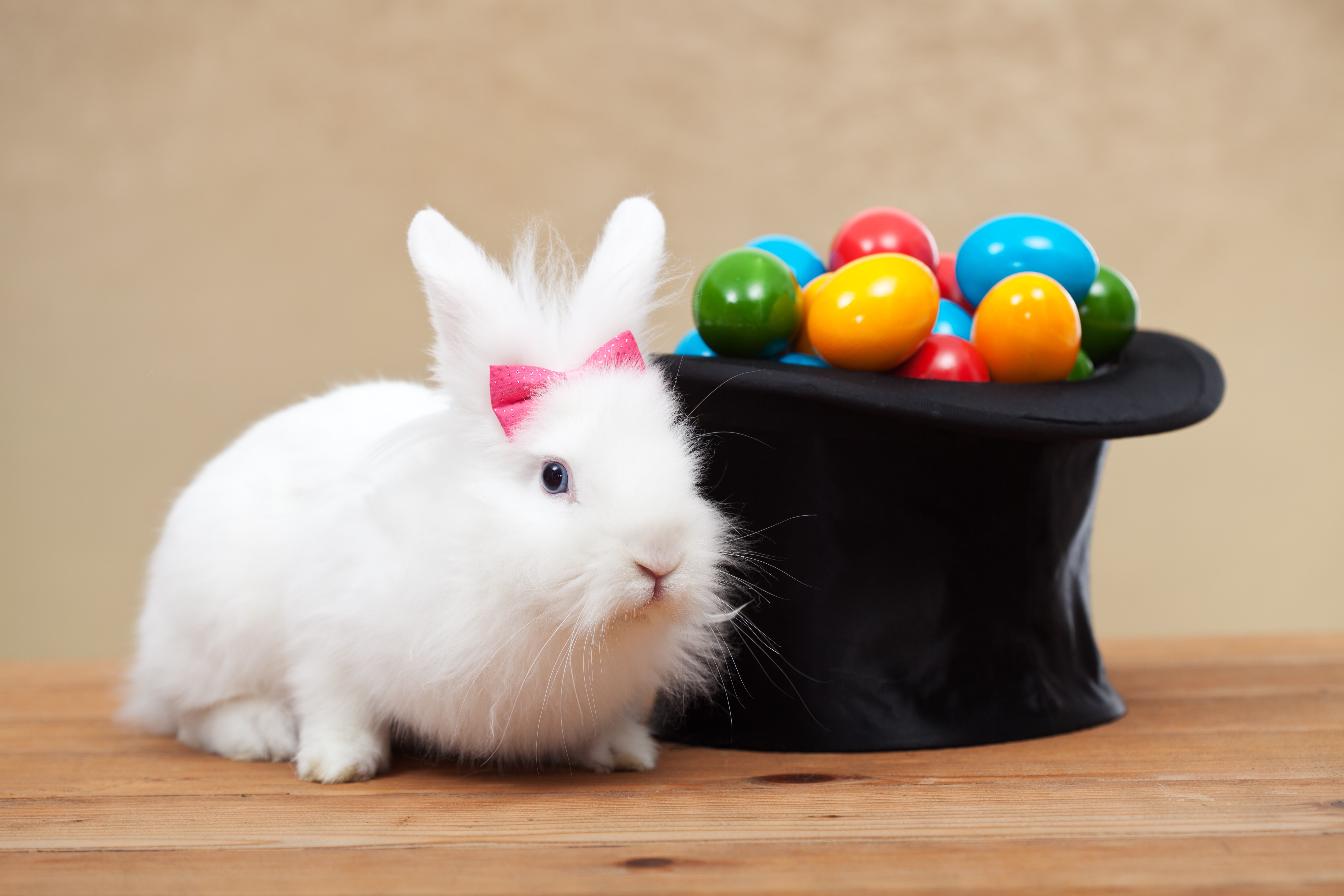 White rabbit with pink bow and magic hat with eggs HD Wallpaper