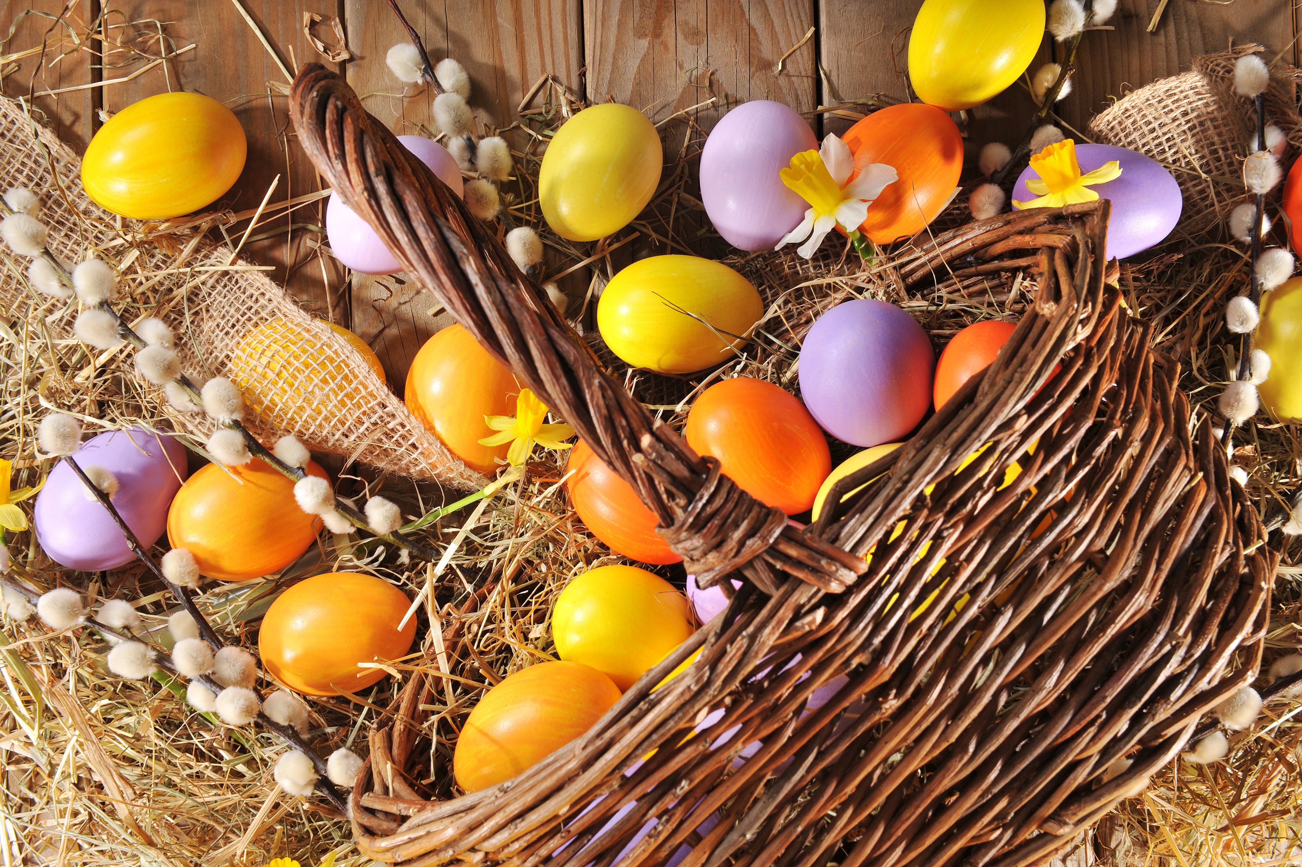 Easter eggs in a wicker basket with pussy willows HD Wallpaper