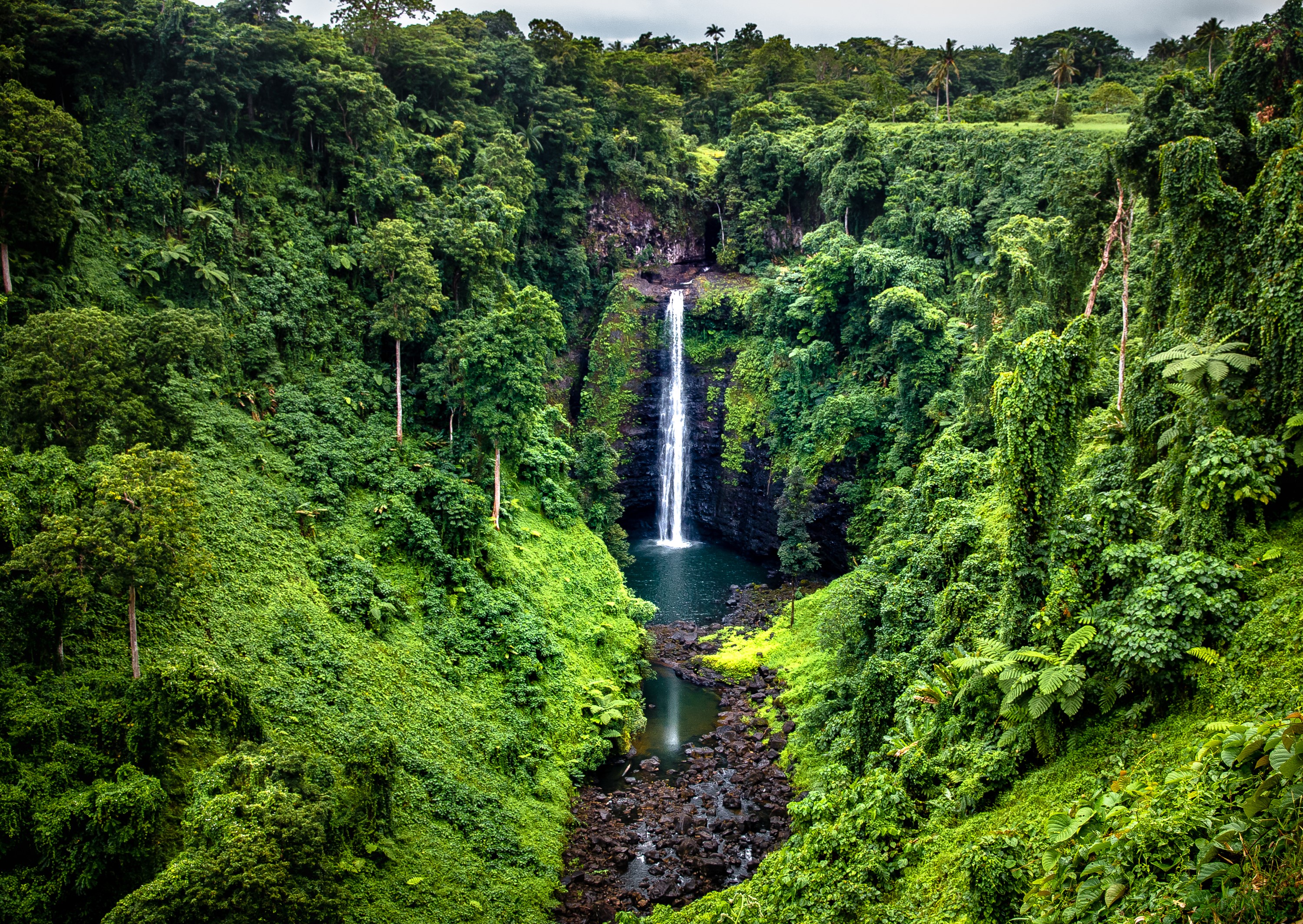 Waterfall in a lush green jungle in Samoa HD Wallpaper
