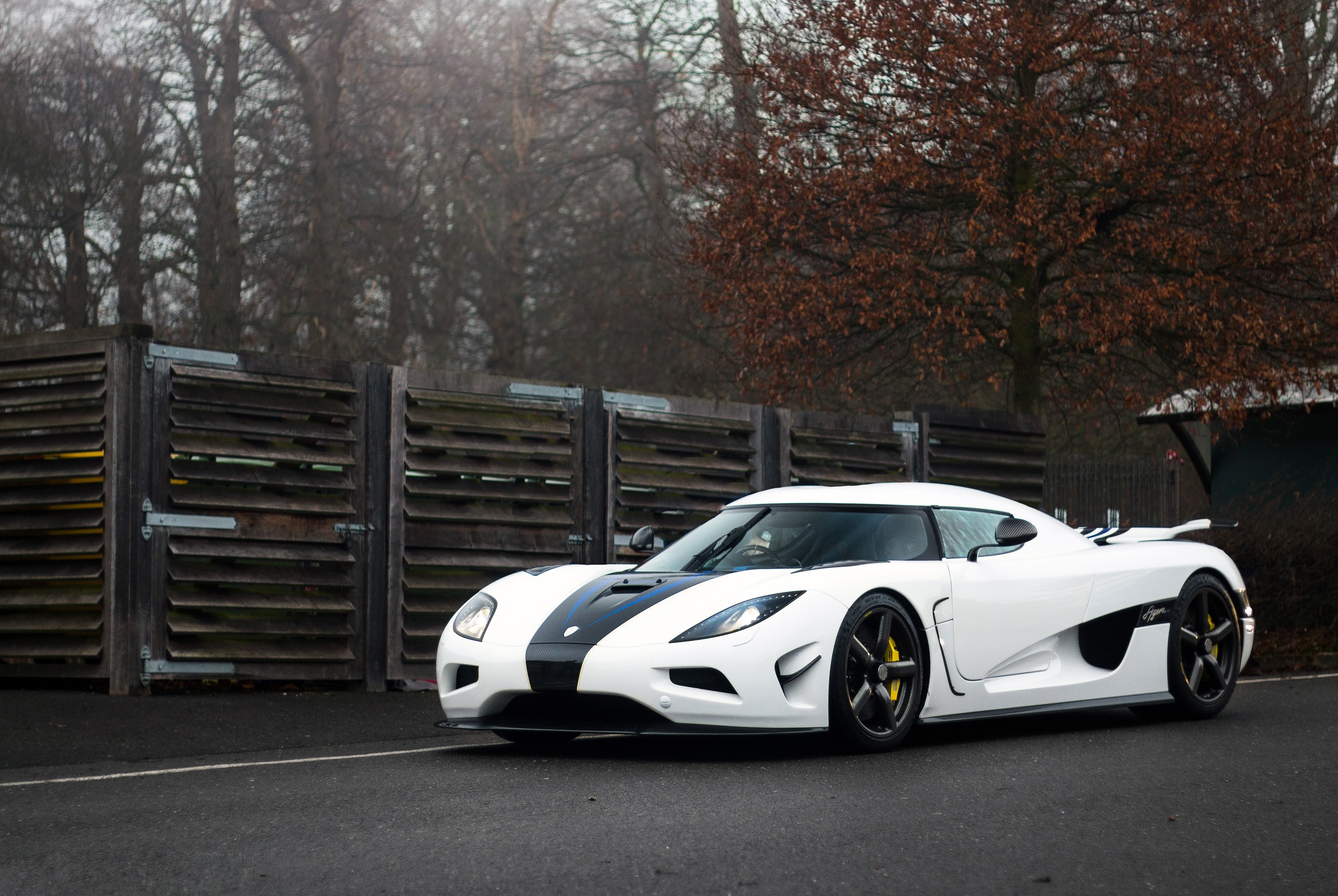 White Koenigsegg Agera N HD Wallpaper