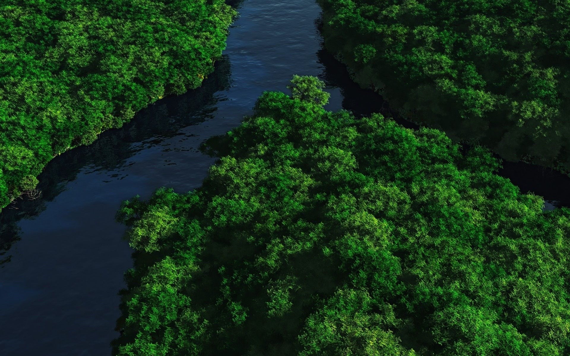 Aerial view of a river flowing through a dense forest HD Wallpaper