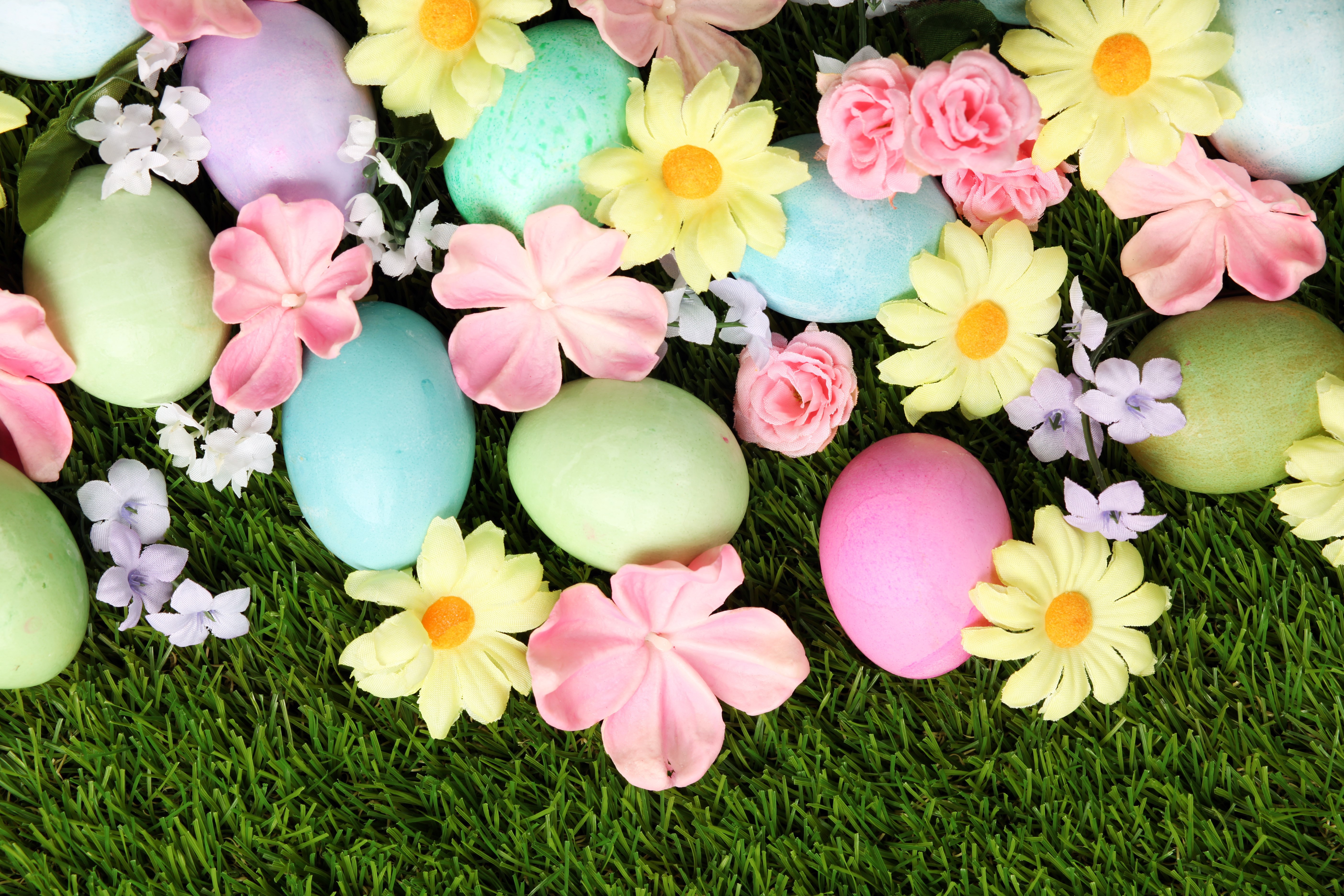 Easter eggs and flowers on grass HD Wallpaper