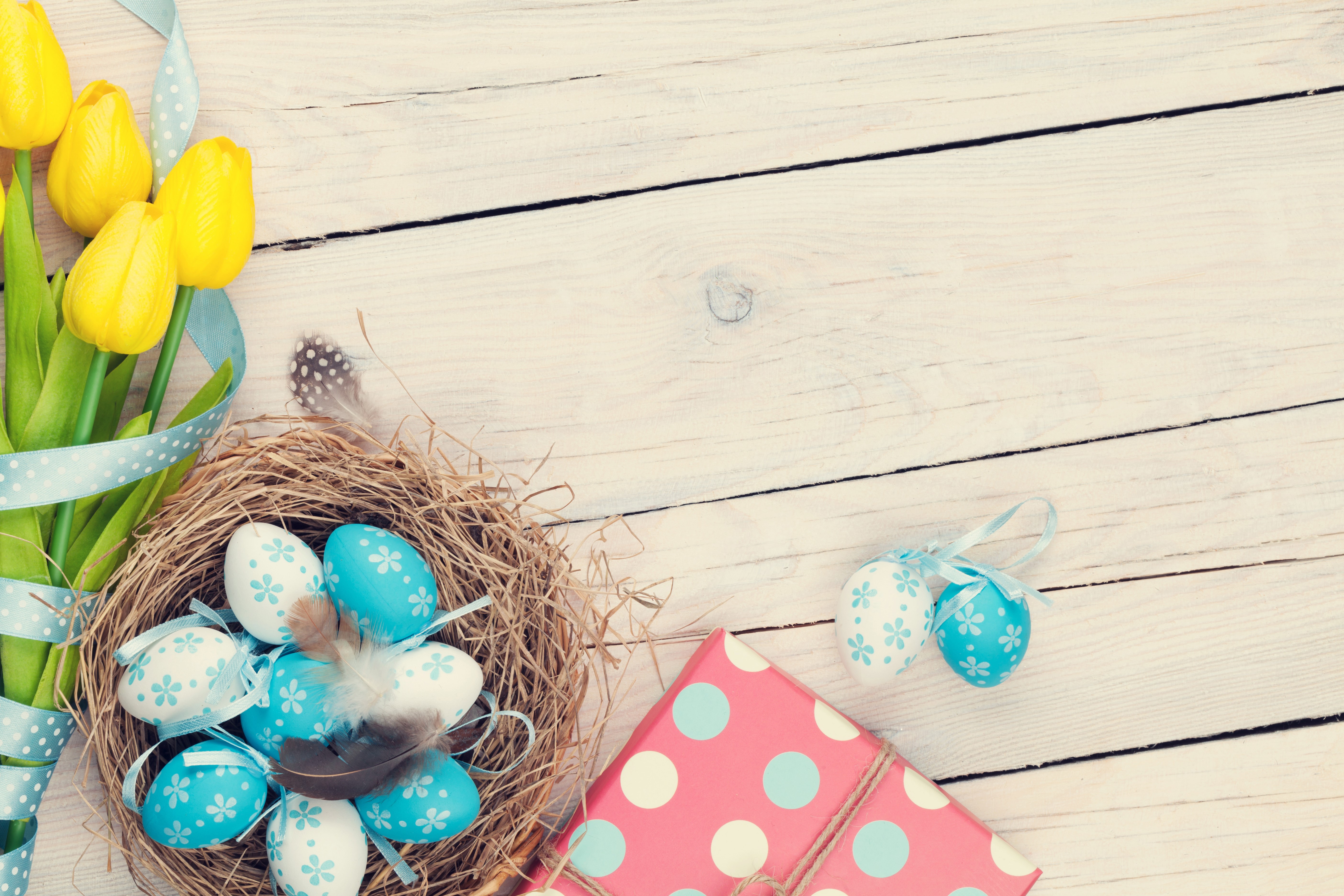 Easter eggs in a nest with tulips and a gift HD Wallpaper