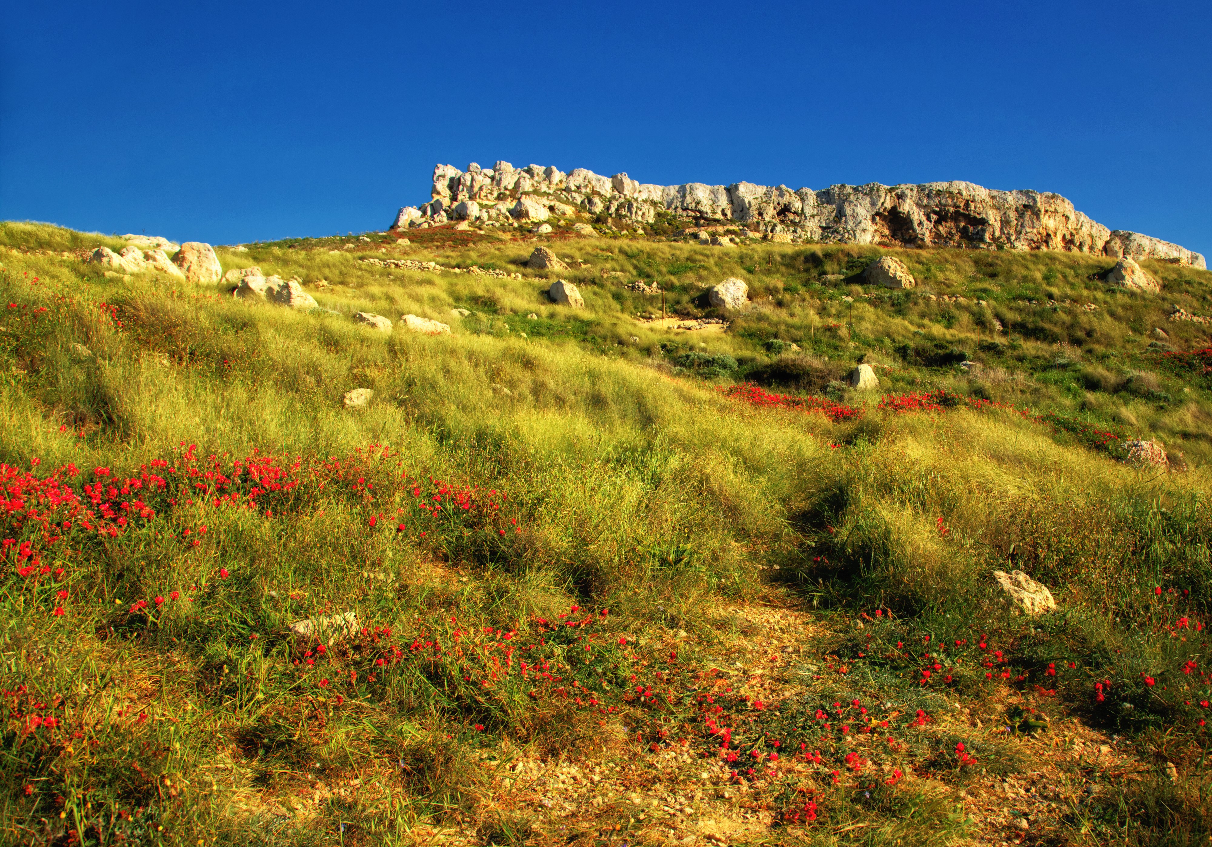 4K Bahrija Malta Stones Grass HD Wallpaper