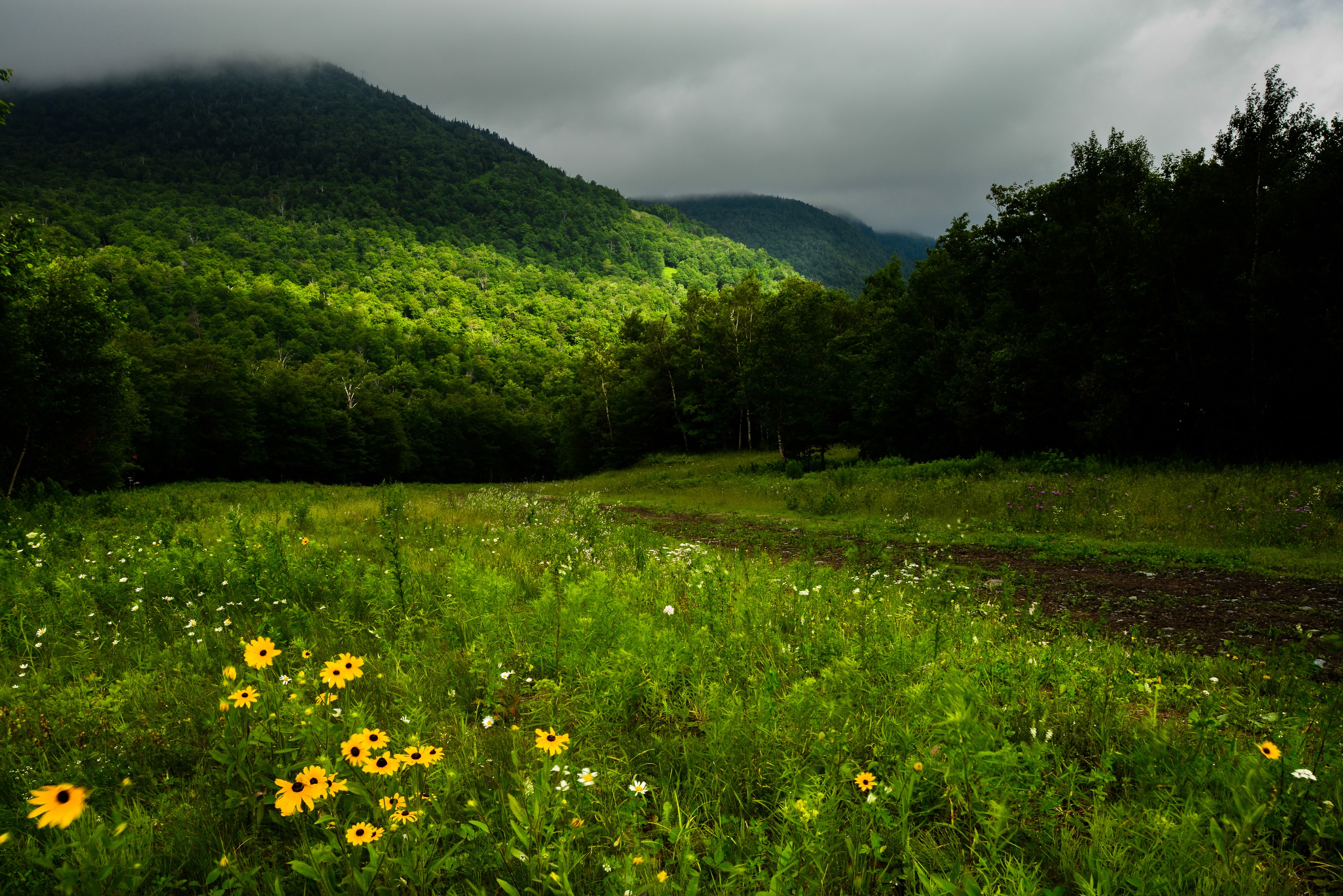 Green Mountains and Meadow in Quebec, Canada HD Wallpaper