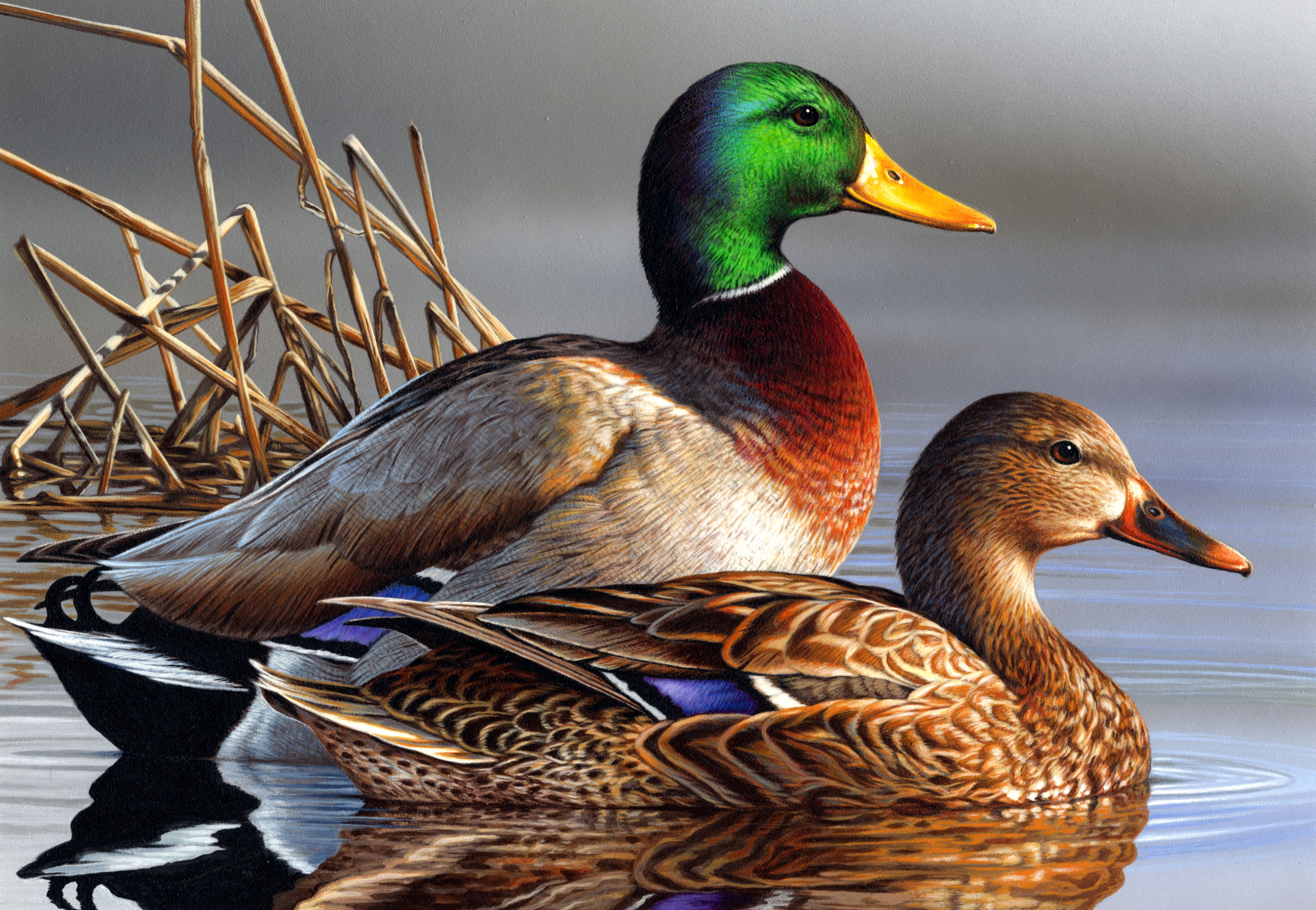 4K Detailed Painting of Two Ducks on Water HD Wallpaper