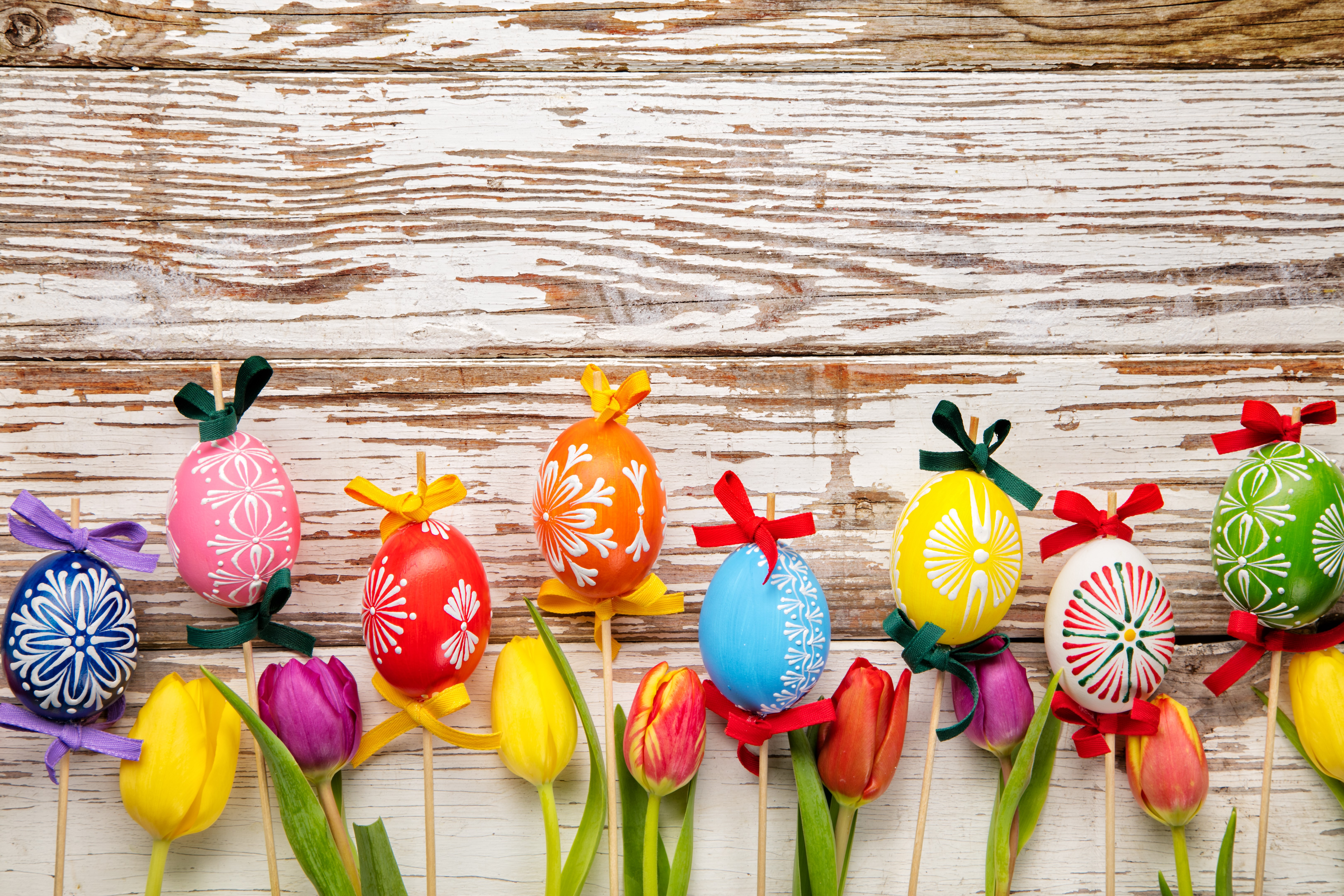 Easter eggs and tulips on wooden planks HD Wallpaper
