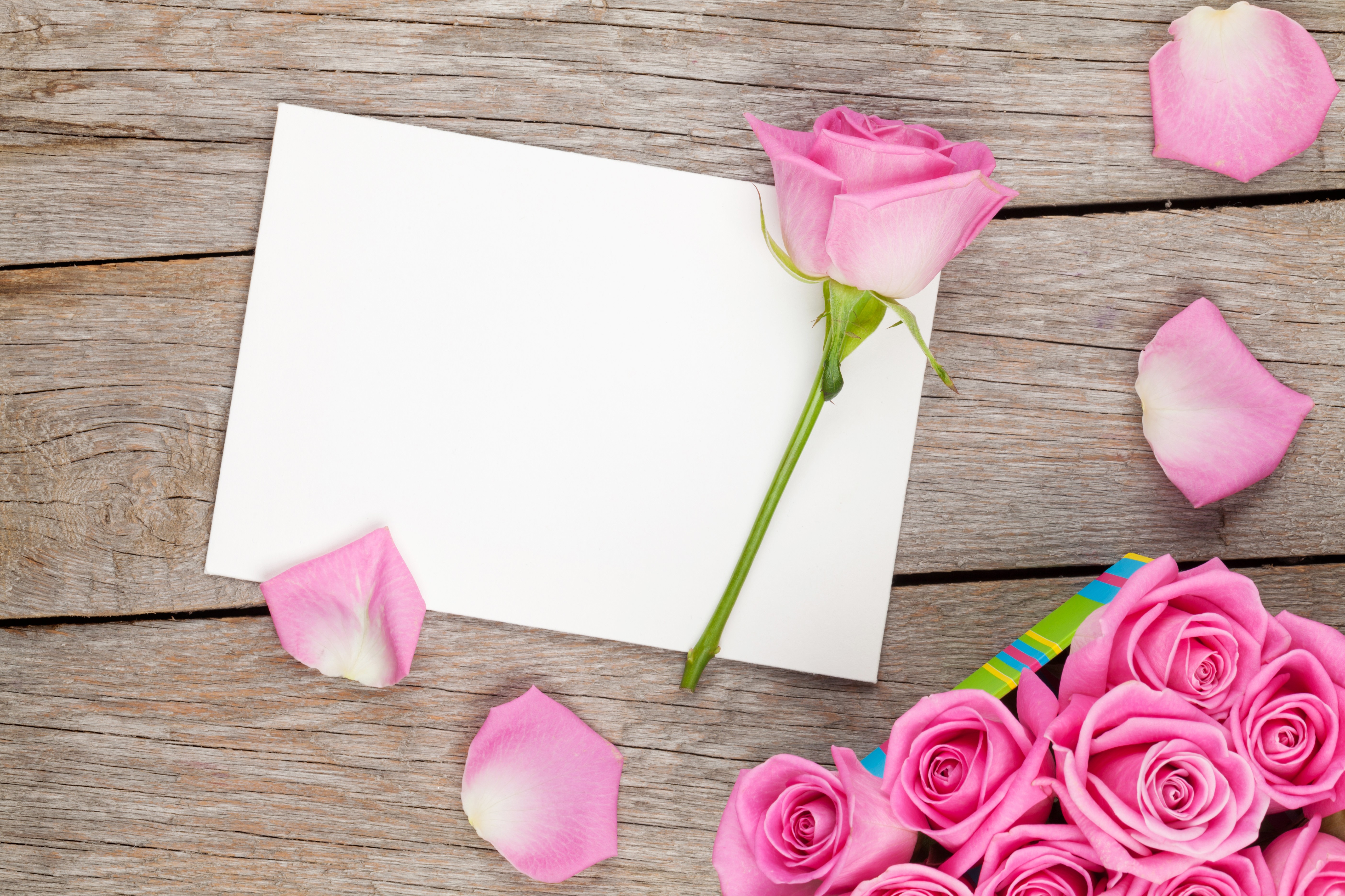Pink Roses and Blank Card on Wood HD Wallpaper