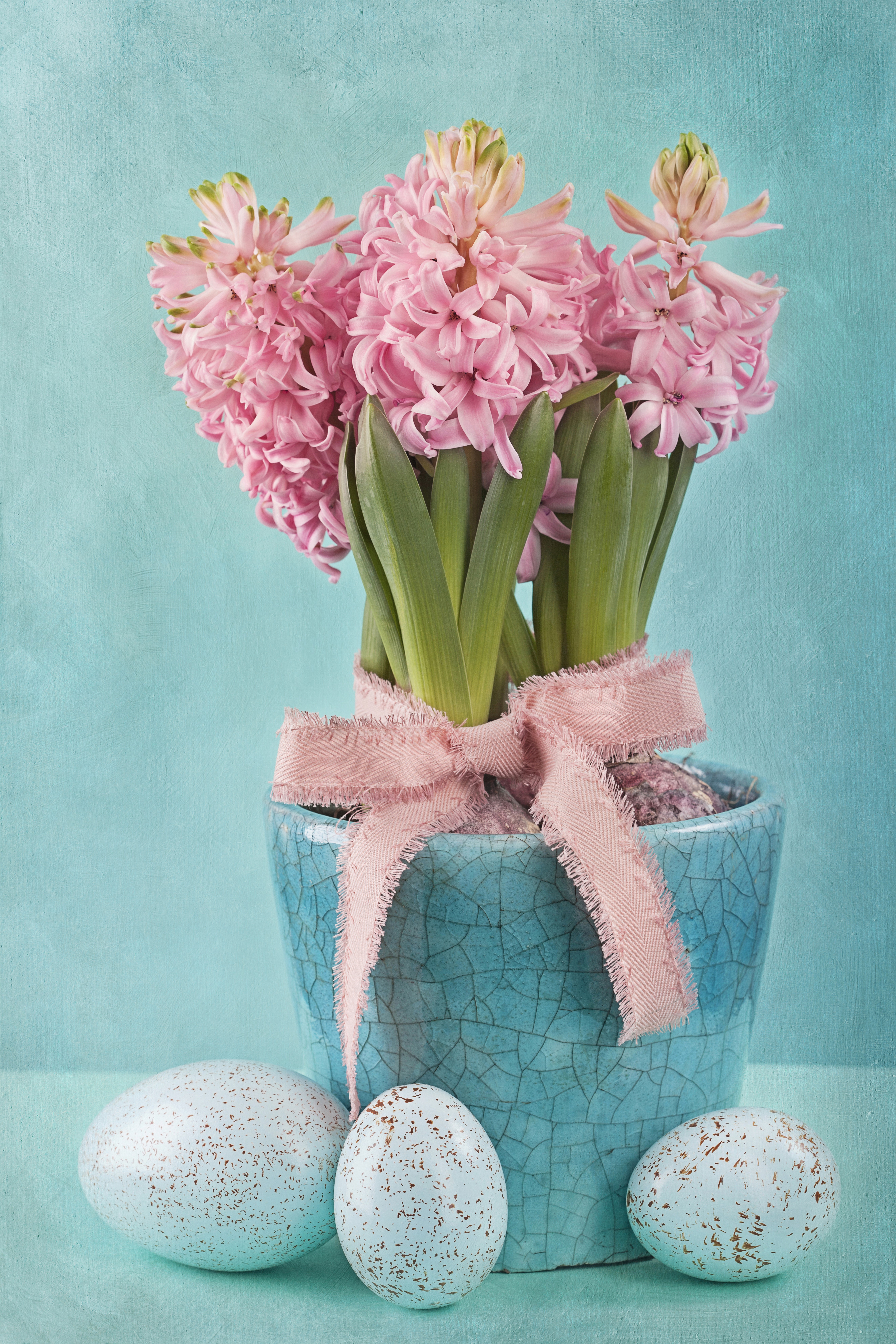 Pink Hyacinths in a Blue Pot with Easter Eggs HD Phone Wallpaper