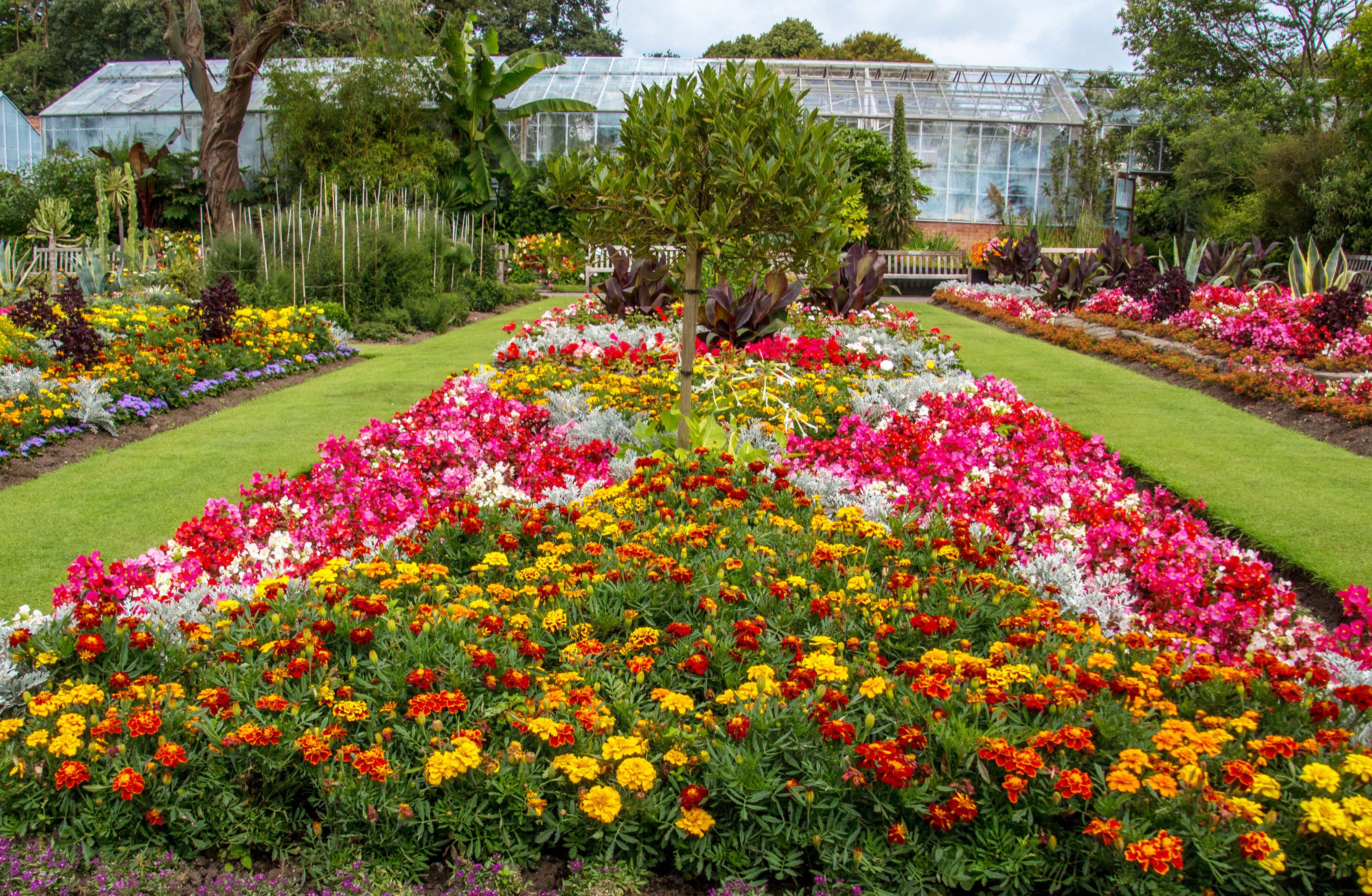 Swansea Botanic Gardens flower beds with greenhouses HD Wallpaper