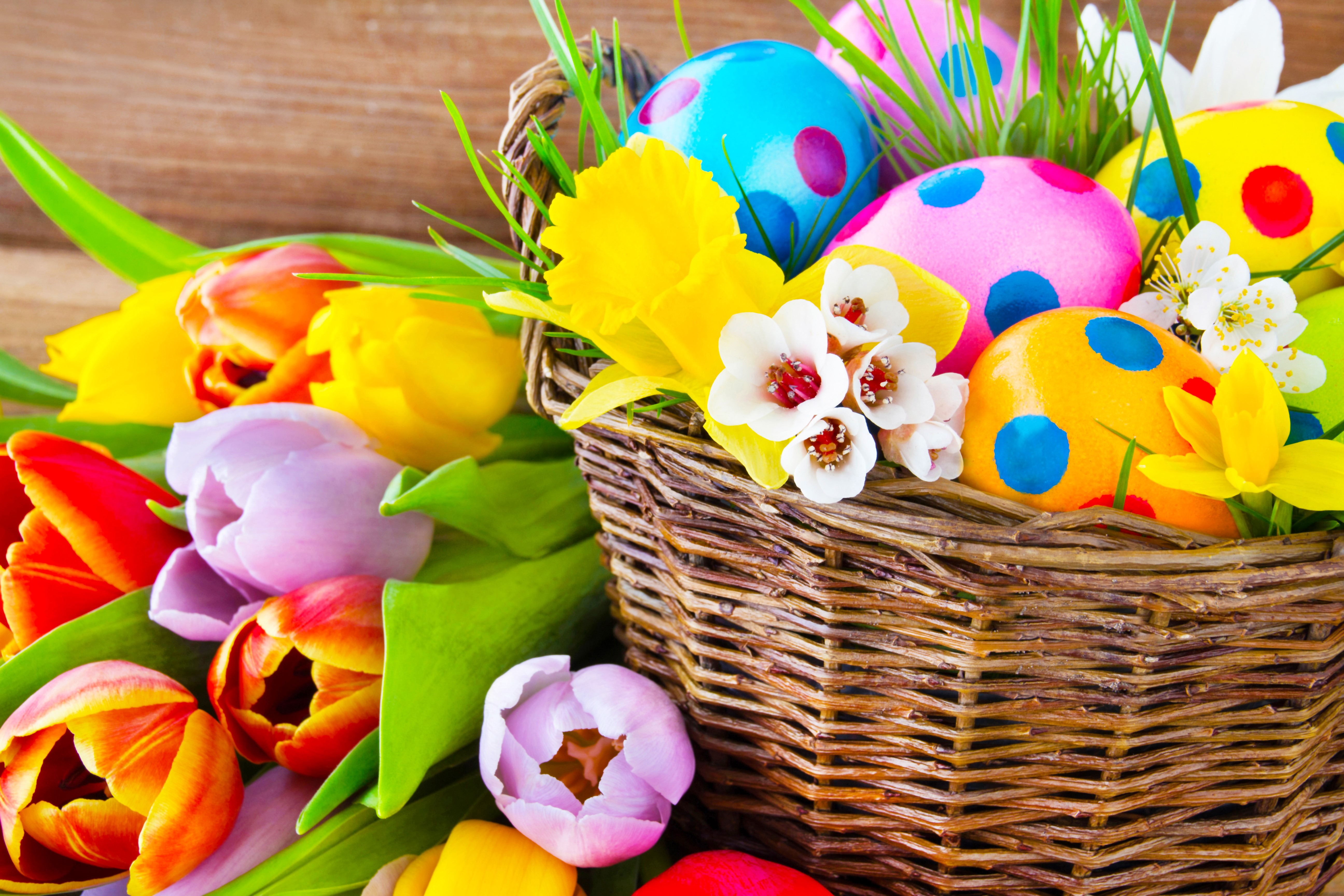 Easter eggs and tulips in a wicker basket HD Wallpaper