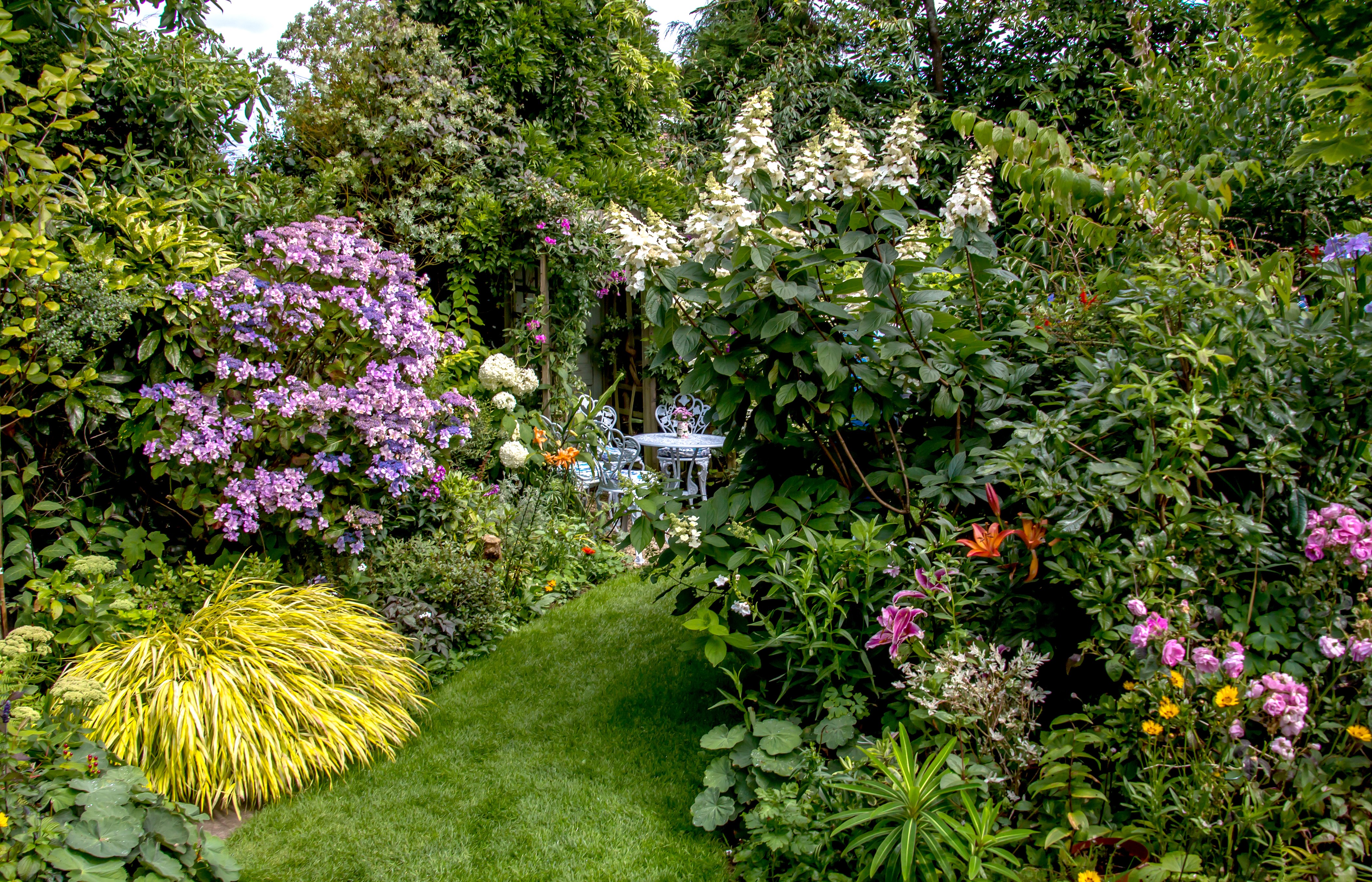 4K Swansea Botanic Gardens with Vibrant Shrubs HD Wallpaper