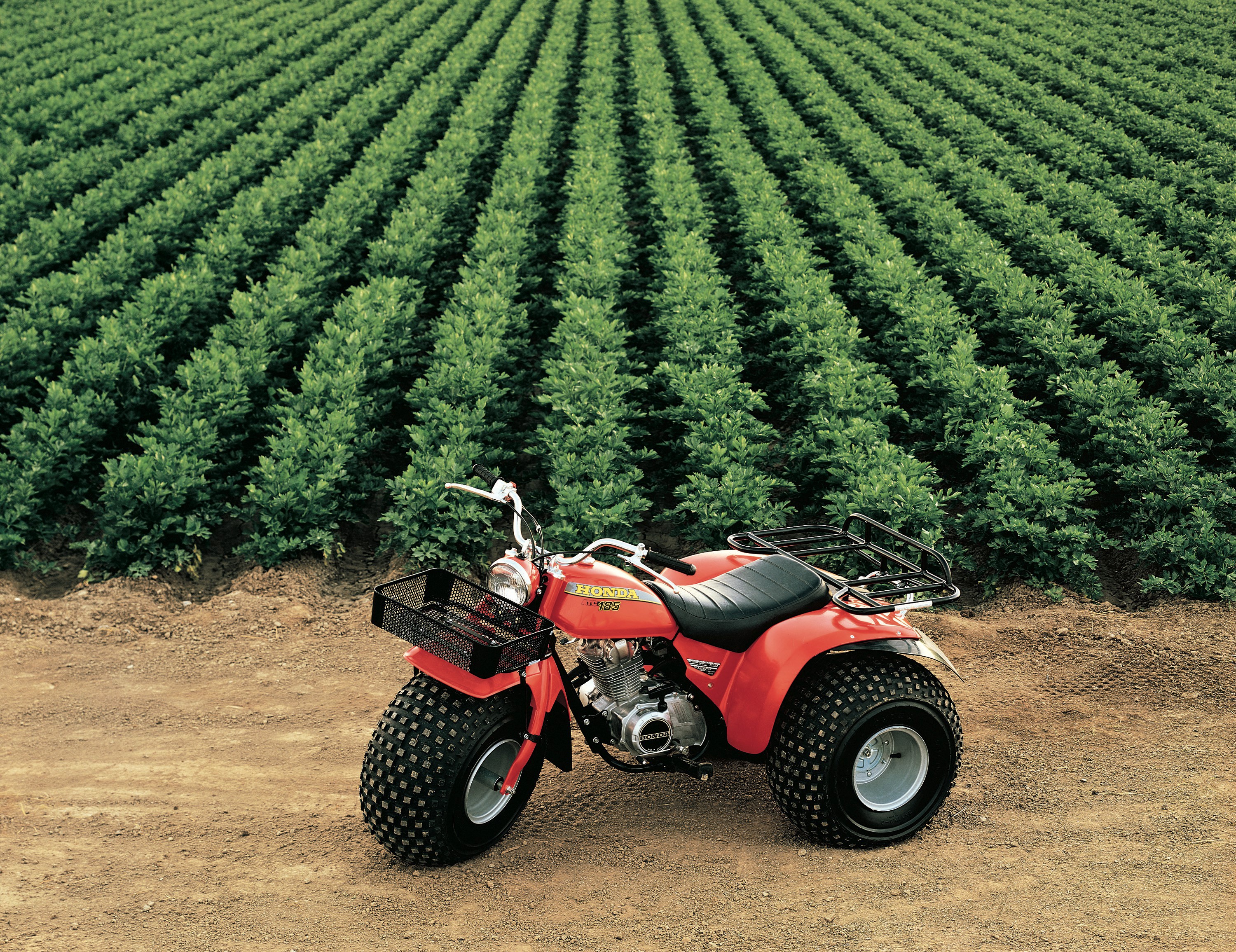1980 Honda ATC185 Trike in a Field HD Wallpaper