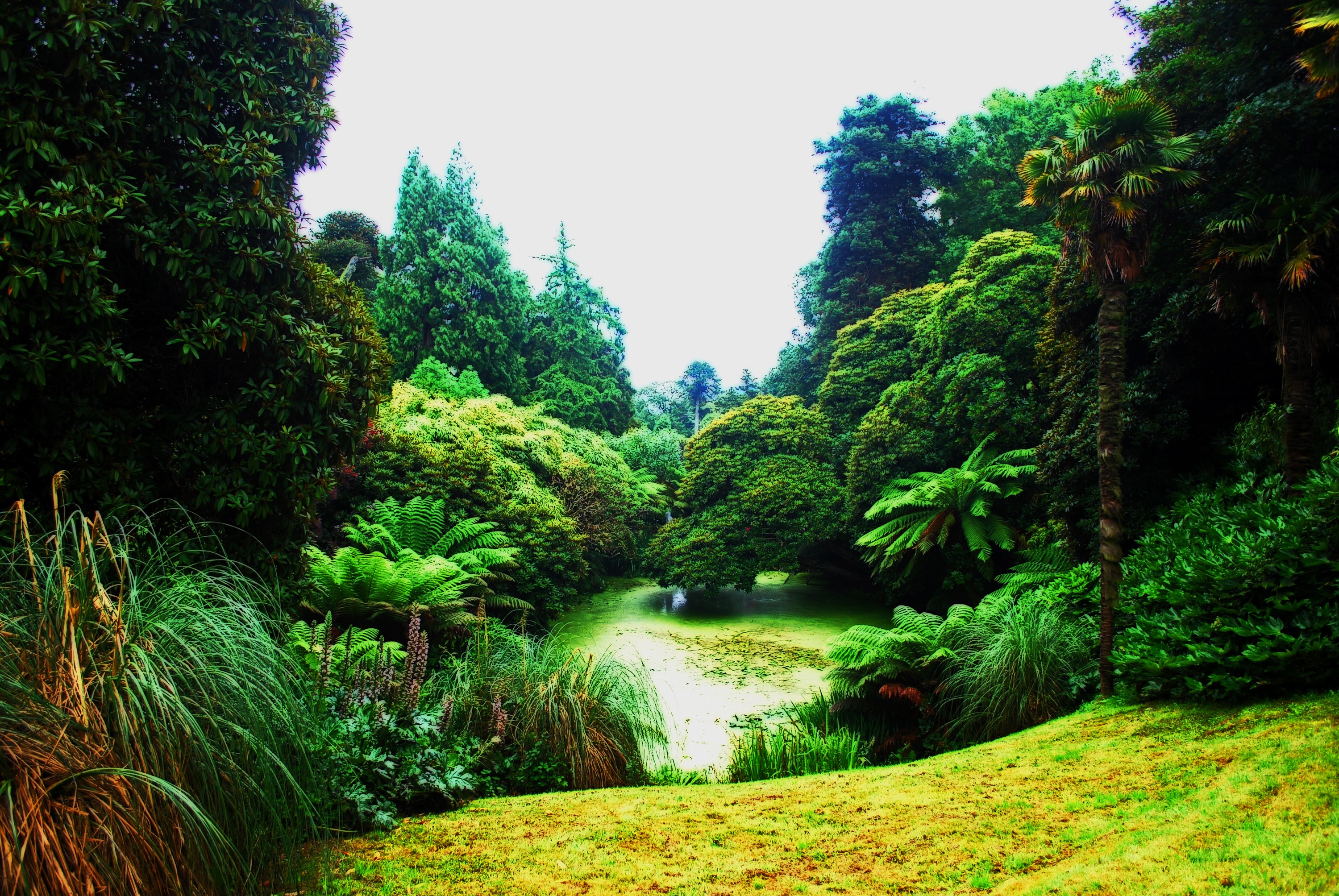 Lost Gardens of Heligan, United Kingdom HD Wallpaper