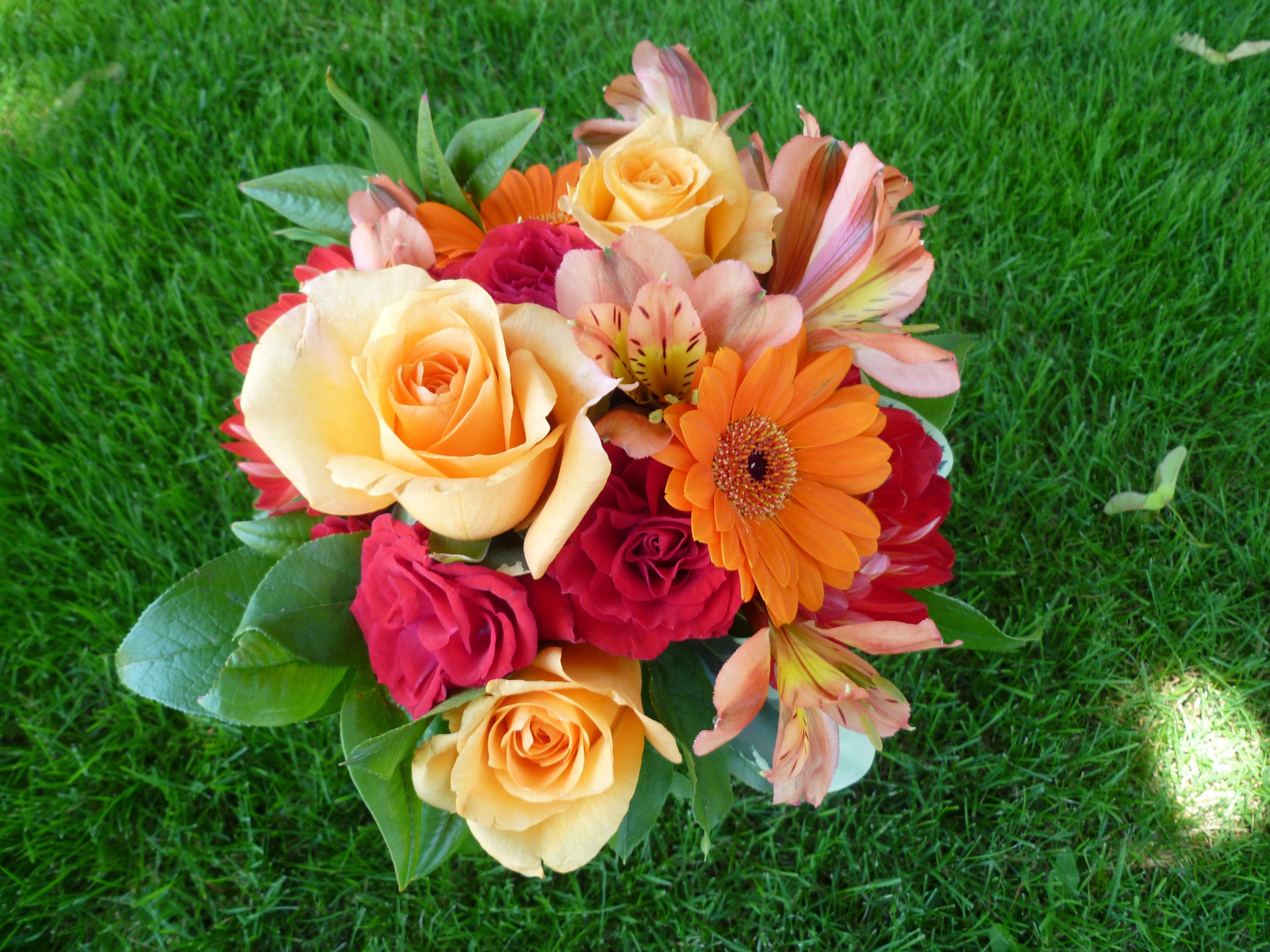 Bouquet of Roses, Gerberas, and Alstroemeria on Grass HD Wallpaper