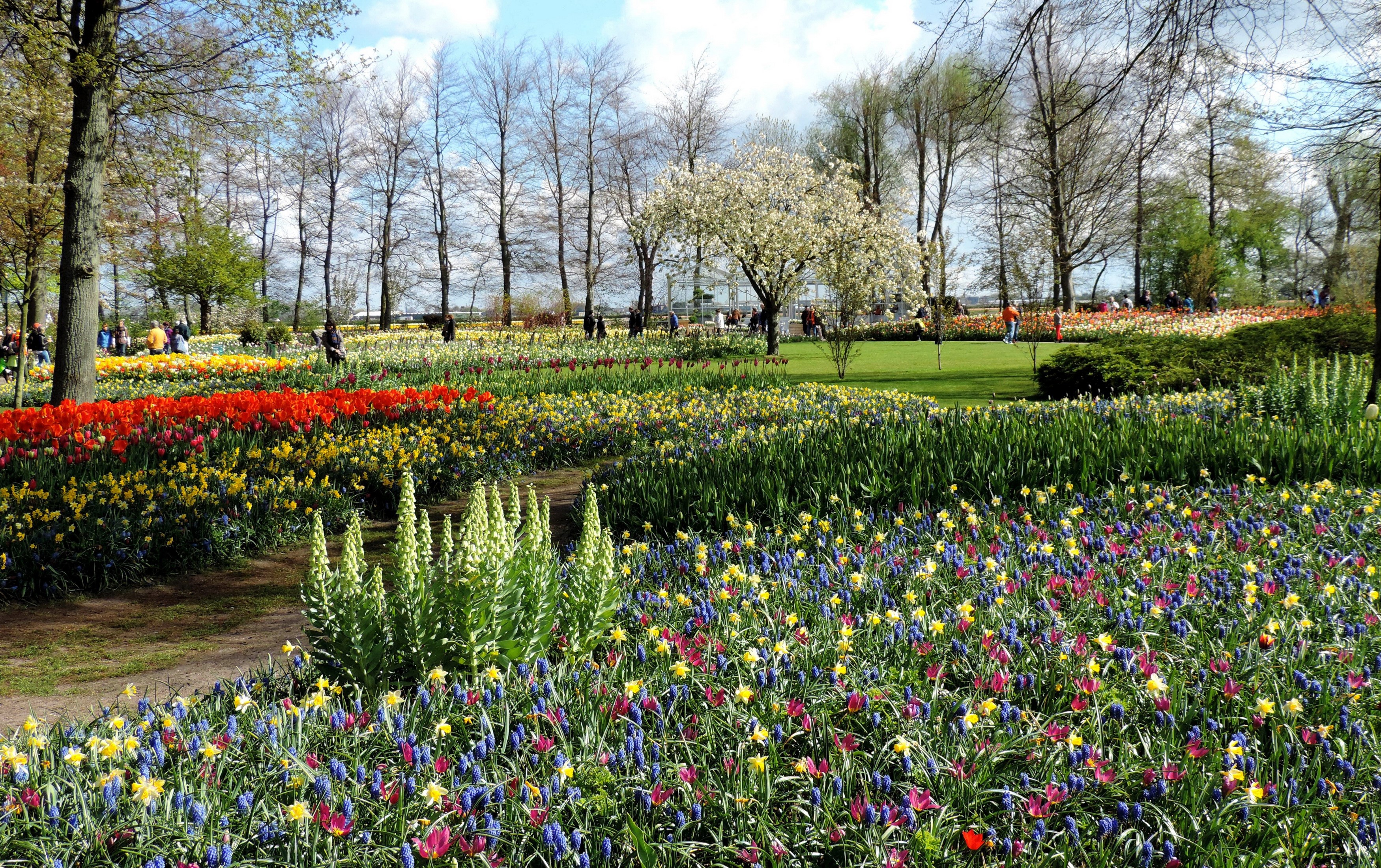 Keukenhof Gardens in the Netherlands during Spring HD Wallpaper
