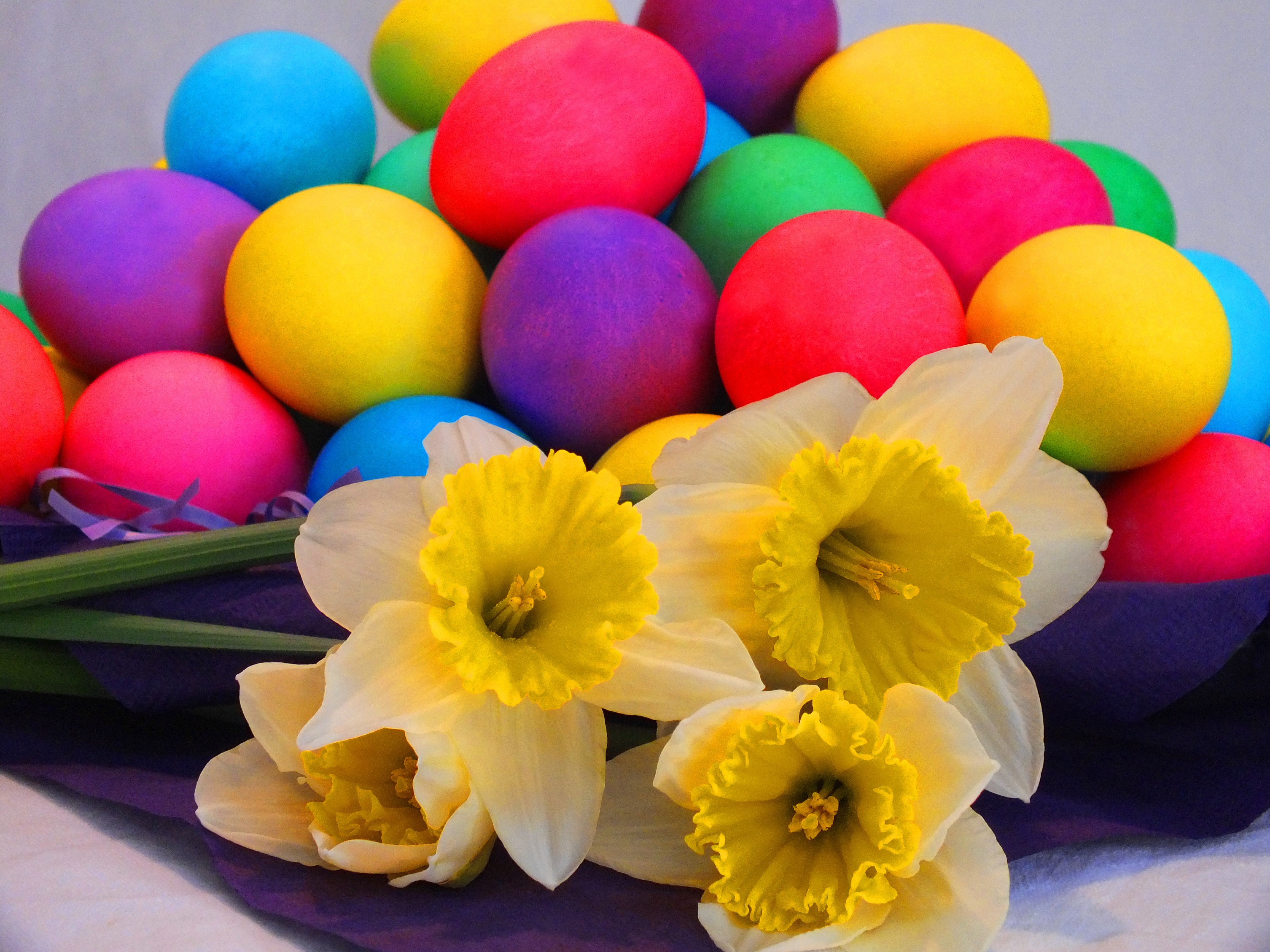 Easter Eggs and Daffodils HD Wallpaper