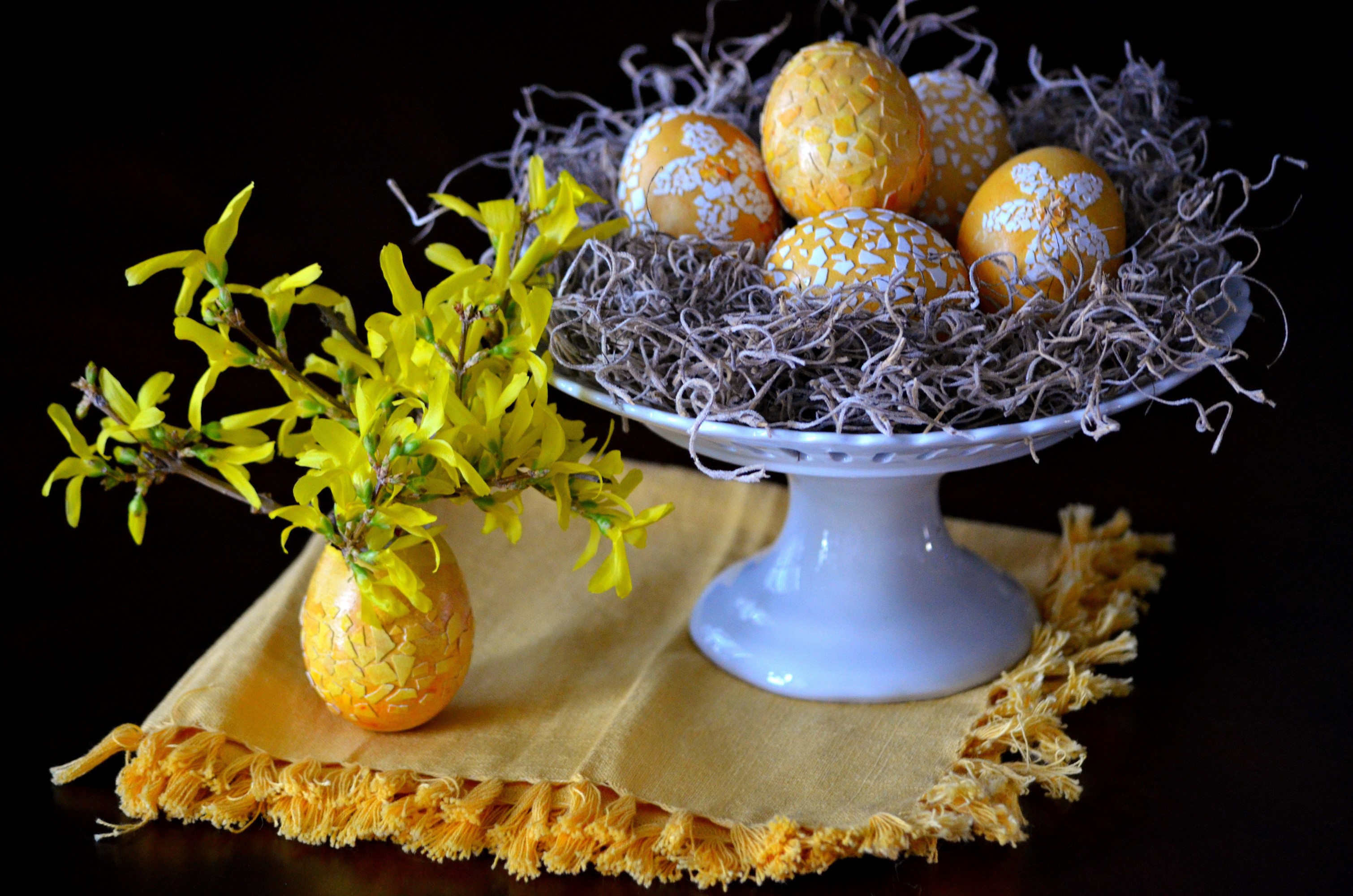 Easter eggs in a nest with forsythia branches HD Wallpaper