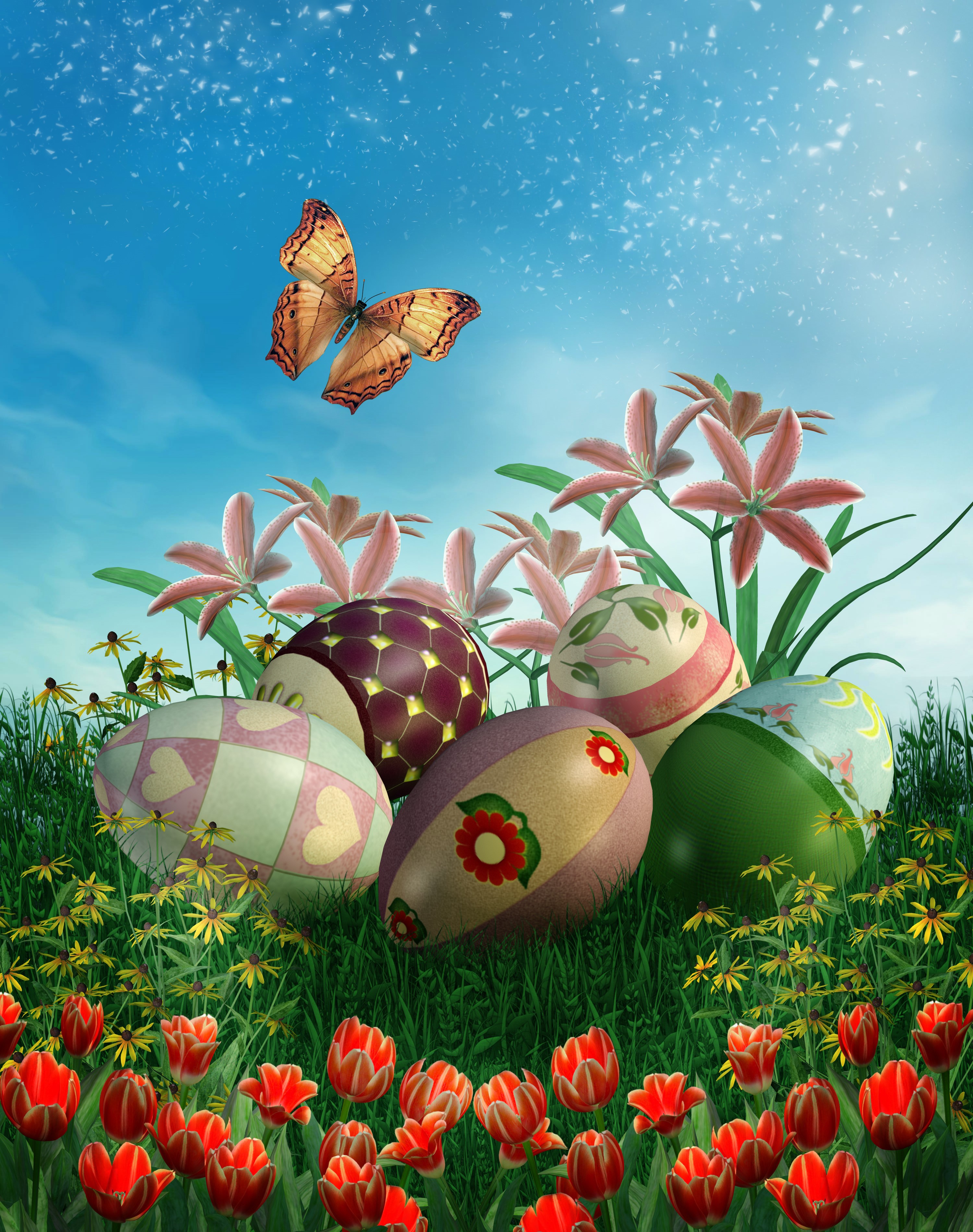 Easter eggs and butterfly in a field of flowers HD Phone Wallpaper