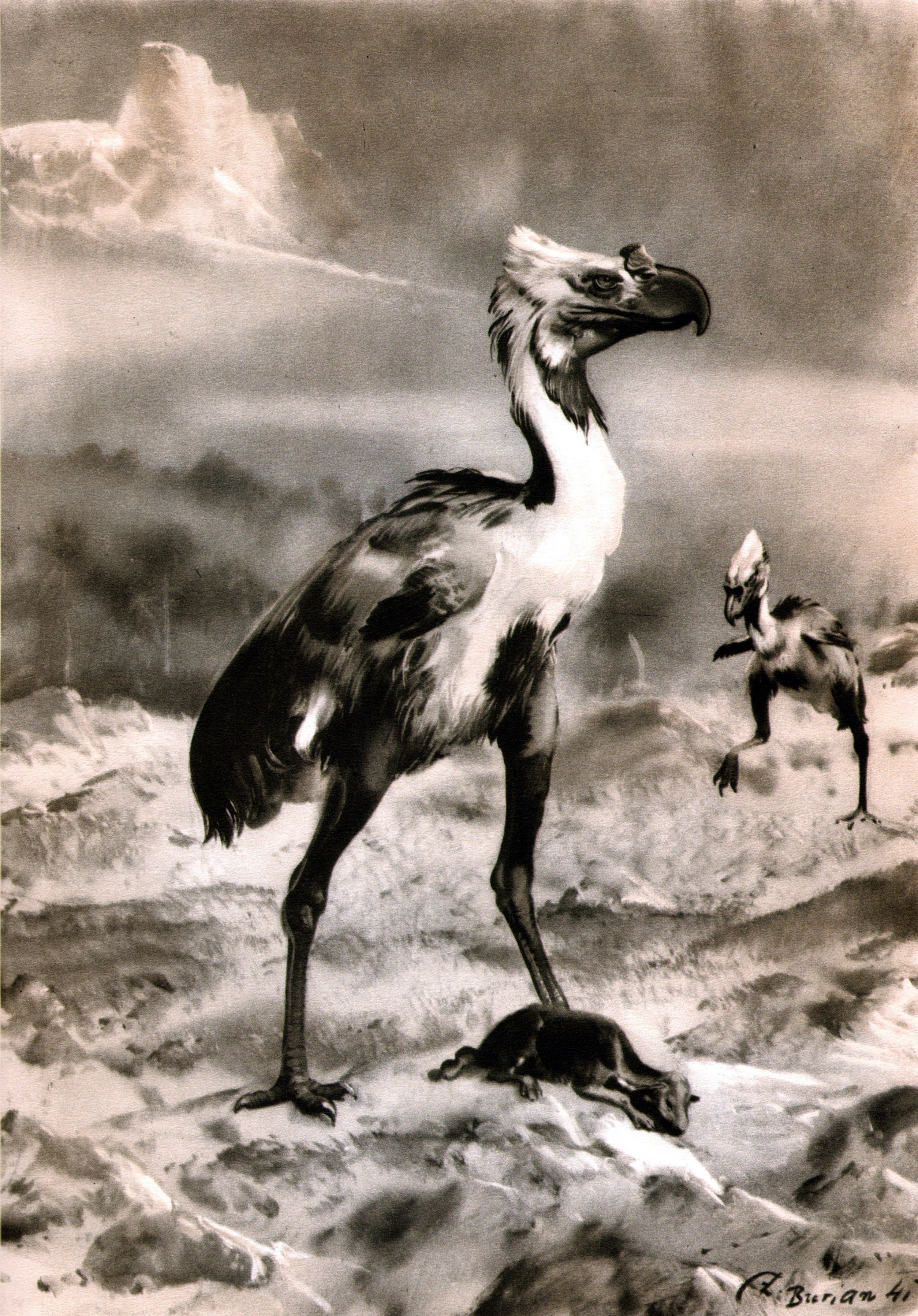 Phorusrhacos, ancient terror bird, with prey HD Phone Wallpaper
