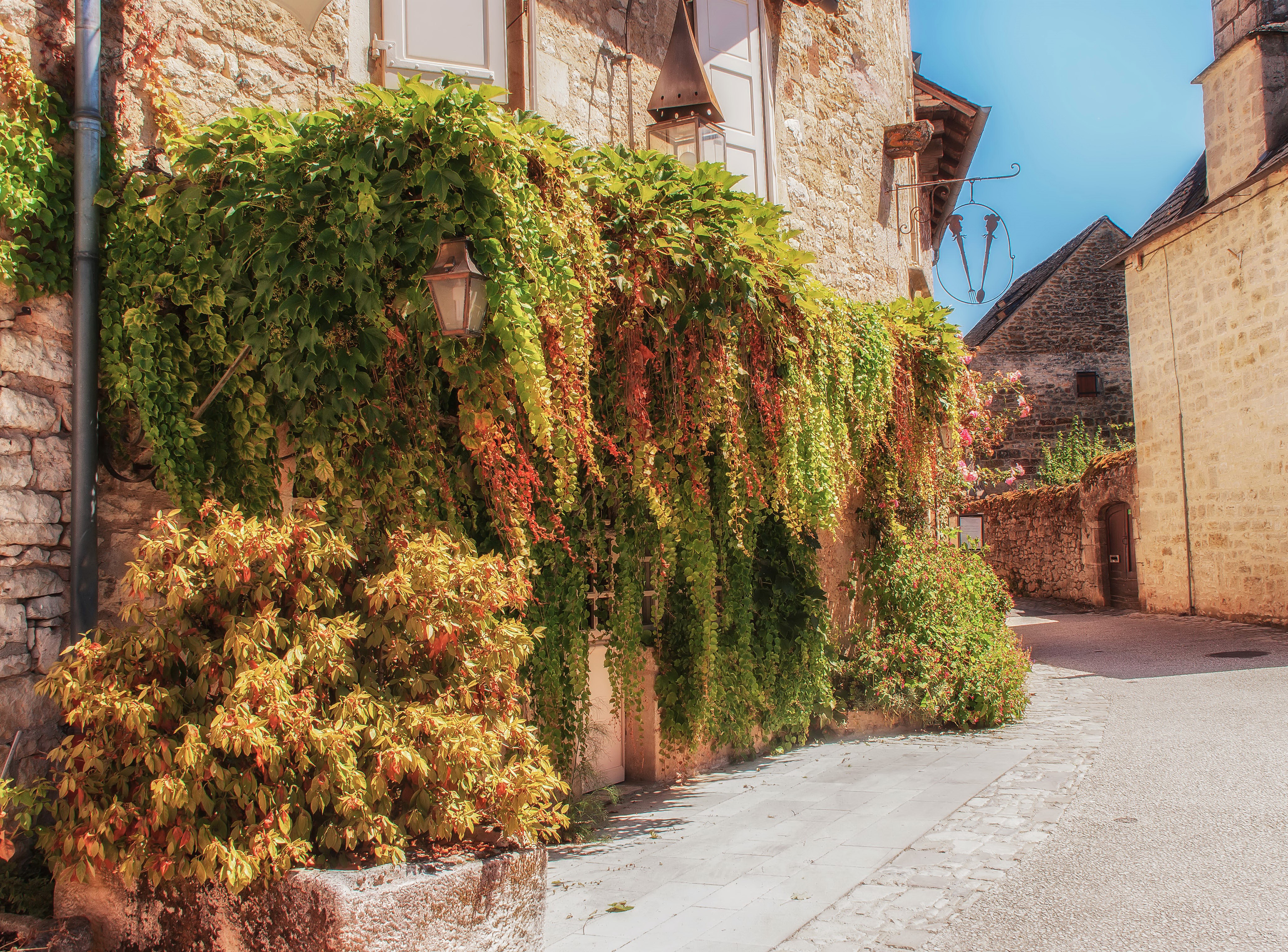 Street in France with ivy-covered building HD Wallpaper