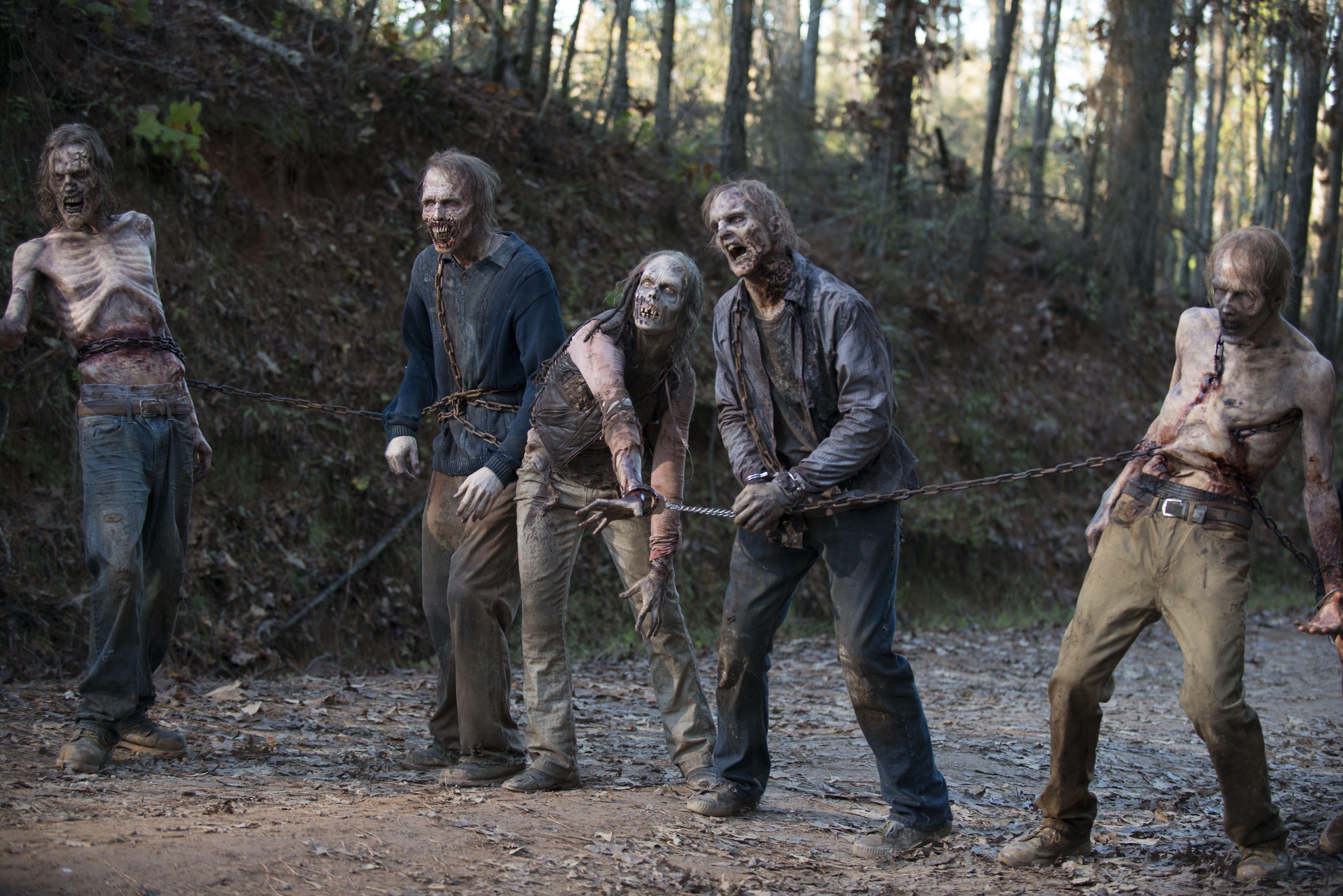 Zombies chained together in The Walking Dead TV Season 6 HD Wallpaper