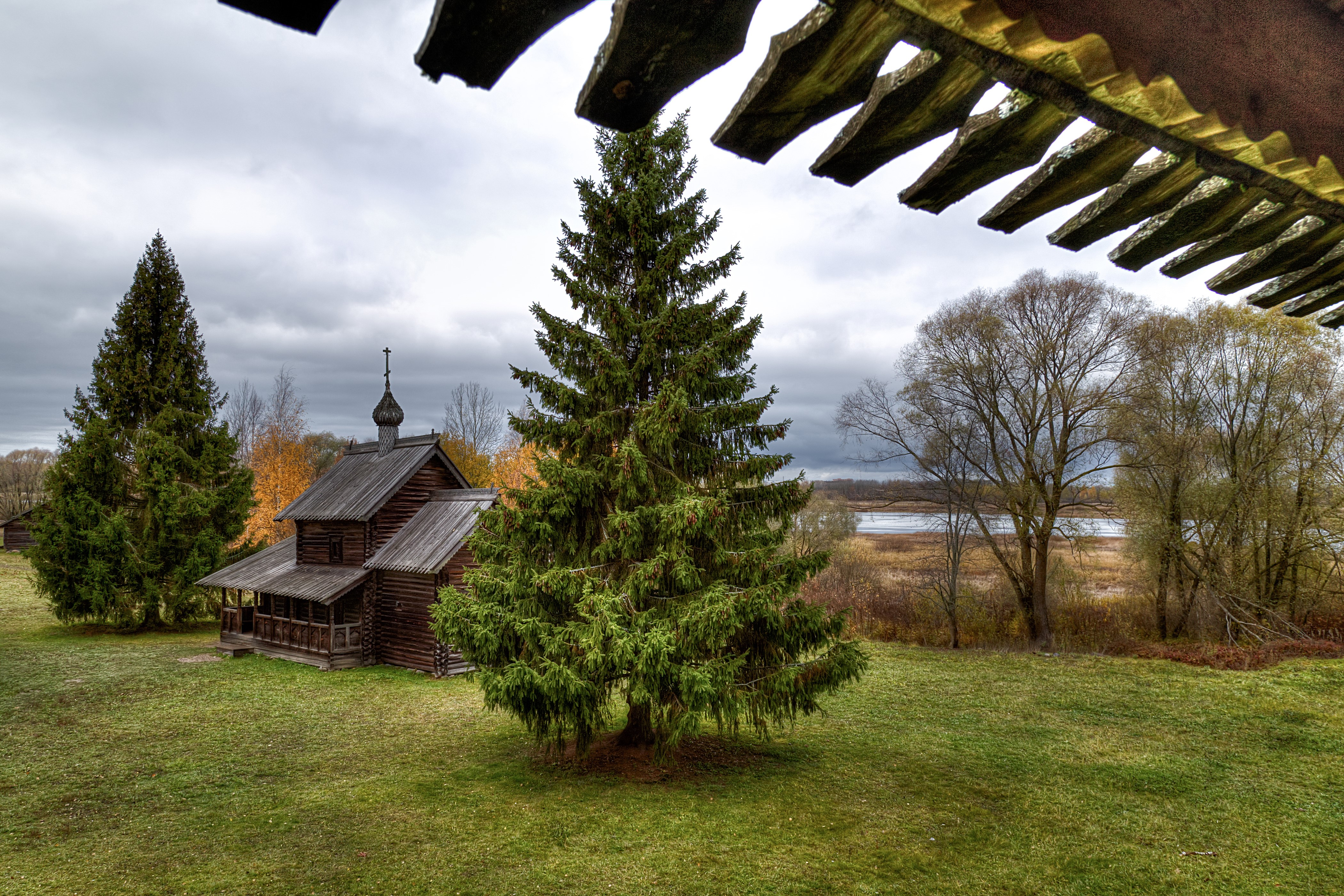 Wooden church and spruce trees in Vitoslavlitsy, Russia HD Wallpaper