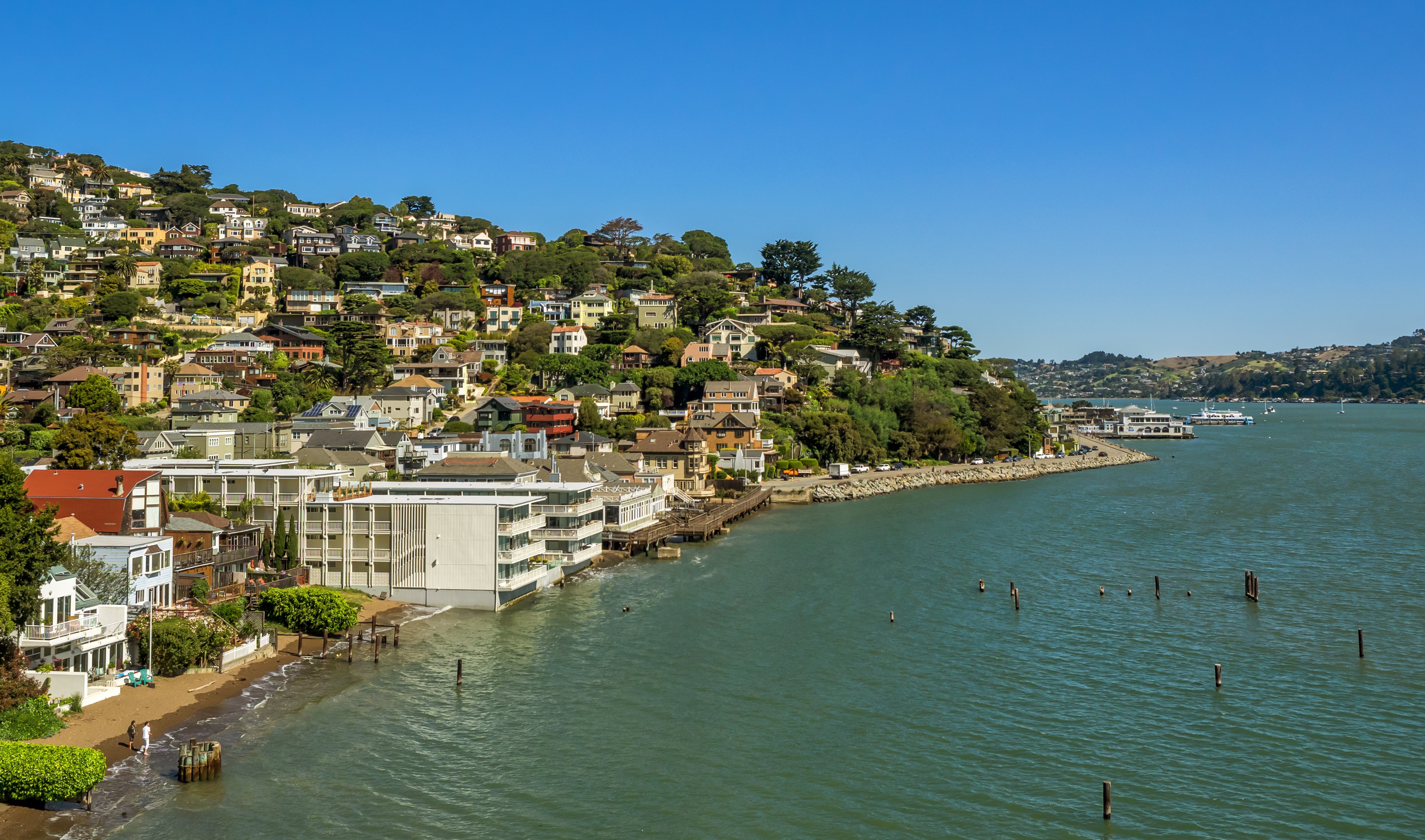 Houses on a hill overlooking the water in Sausalito, California HD Wallpaper