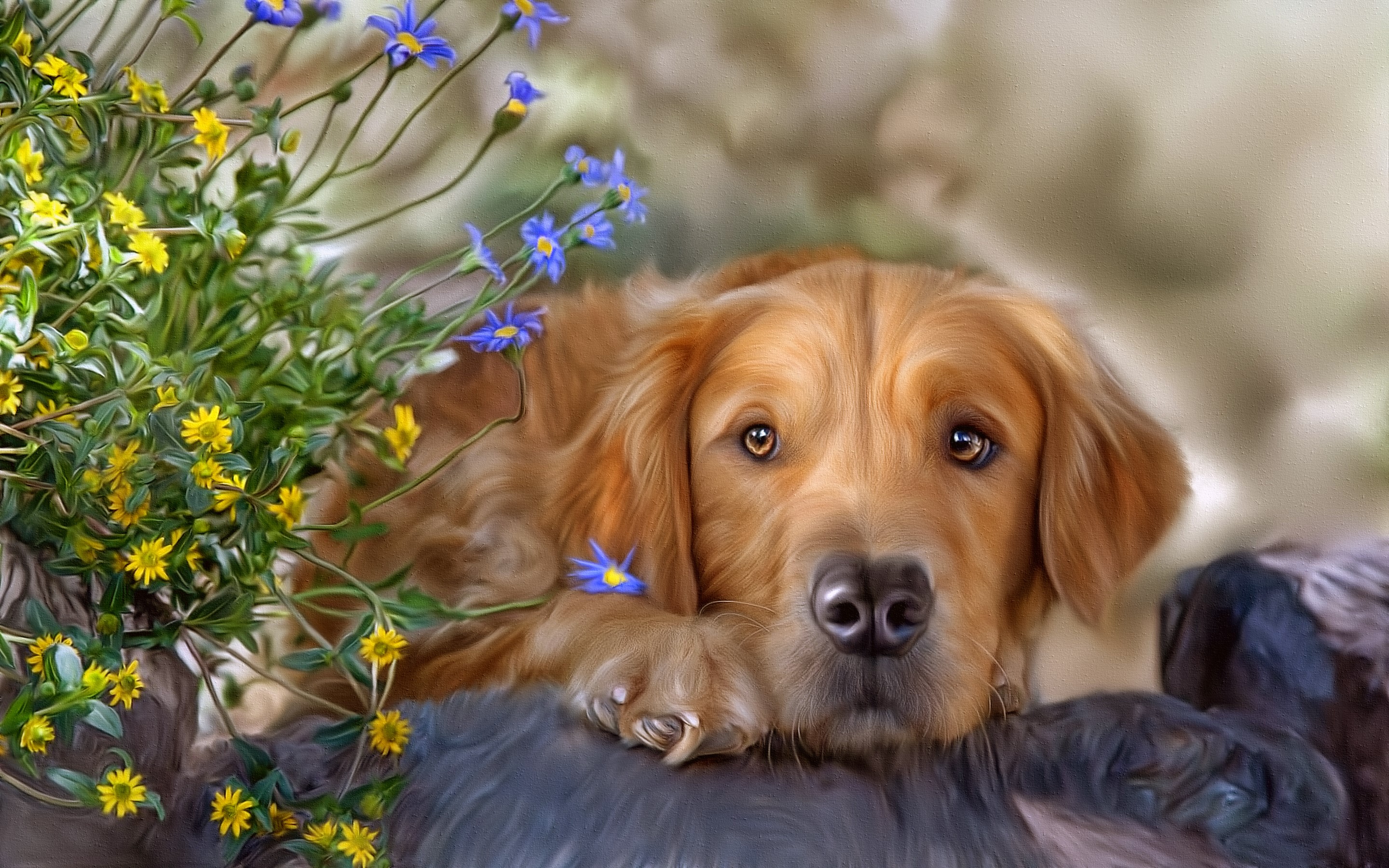 Golden Retriever dog with blue and yellow flowers HD Wallpaper