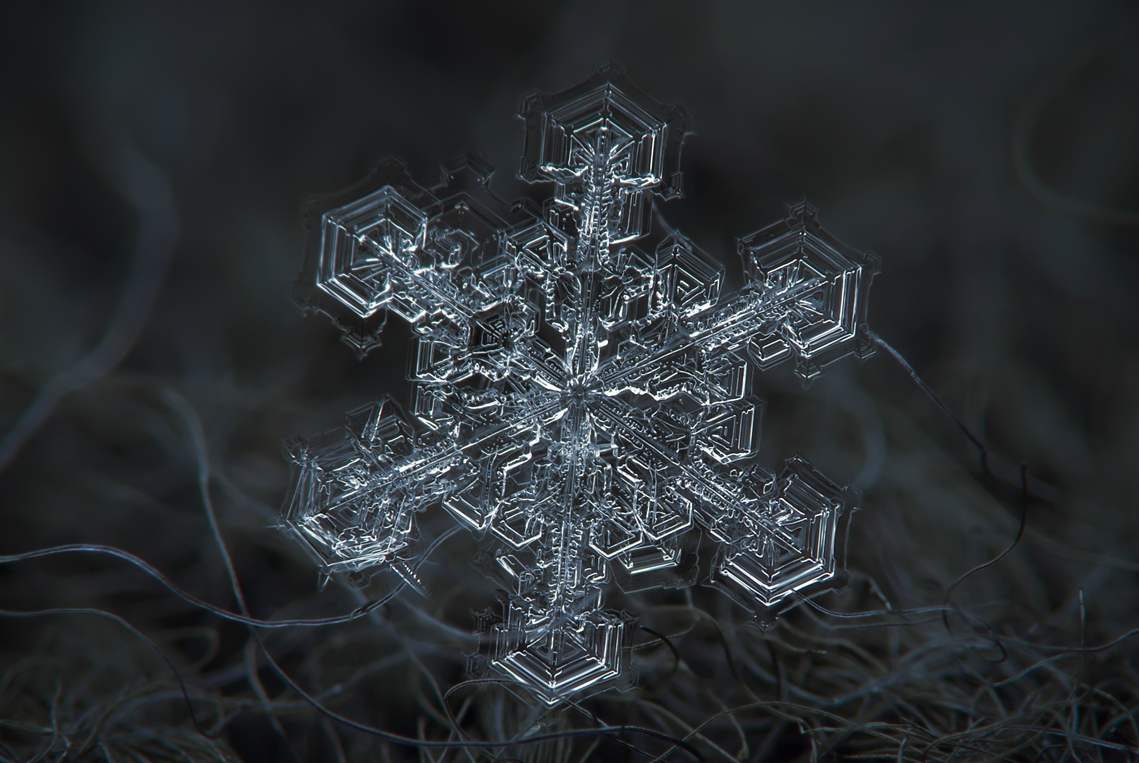 Macro photograph of a detailed snowflake HD Wallpaper