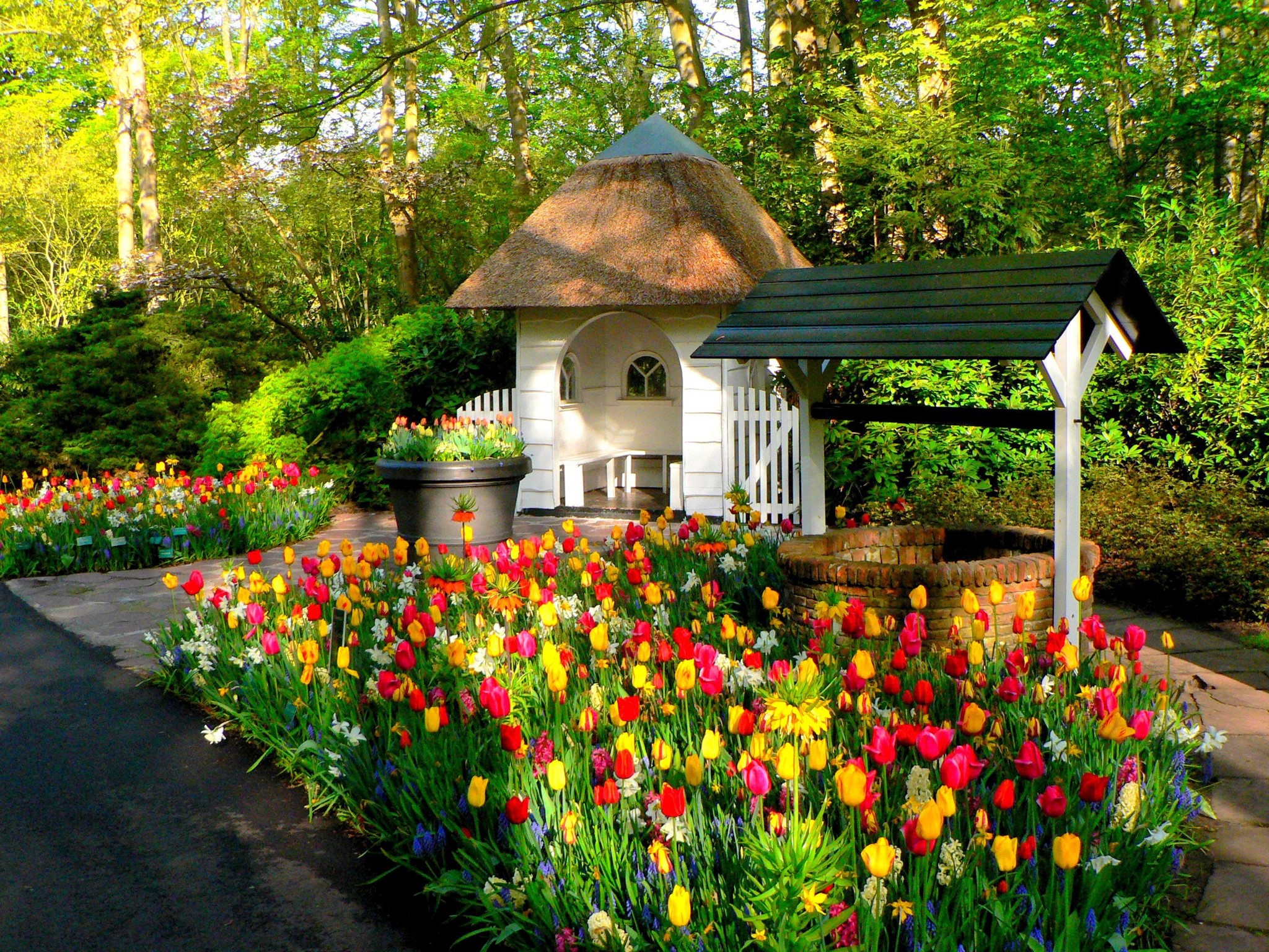 Tulips and a wishing well at Keukenhof Gardens, Netherlands HD Wallpaper