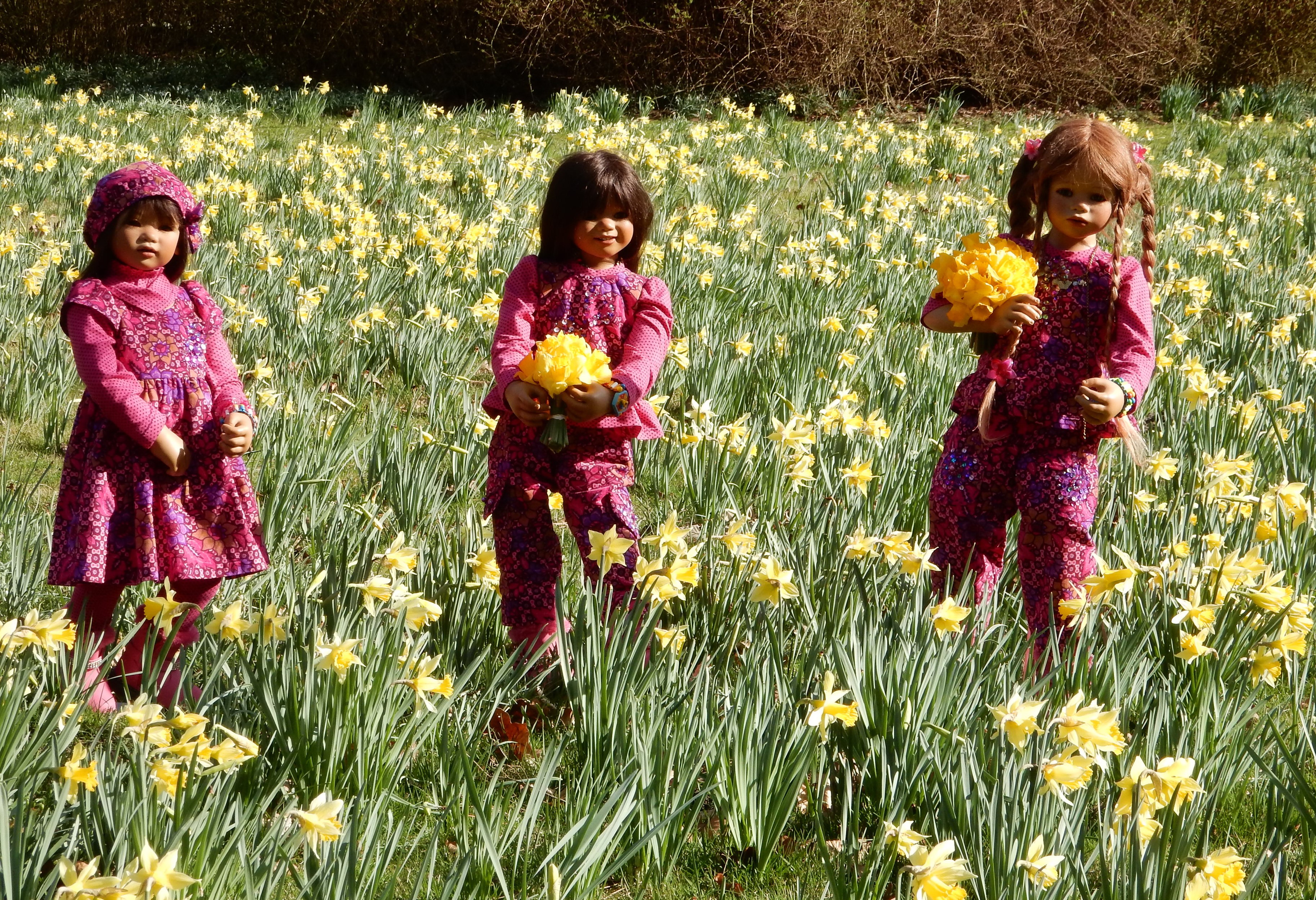 Three dolls in a field of daffodils HD Wallpaper