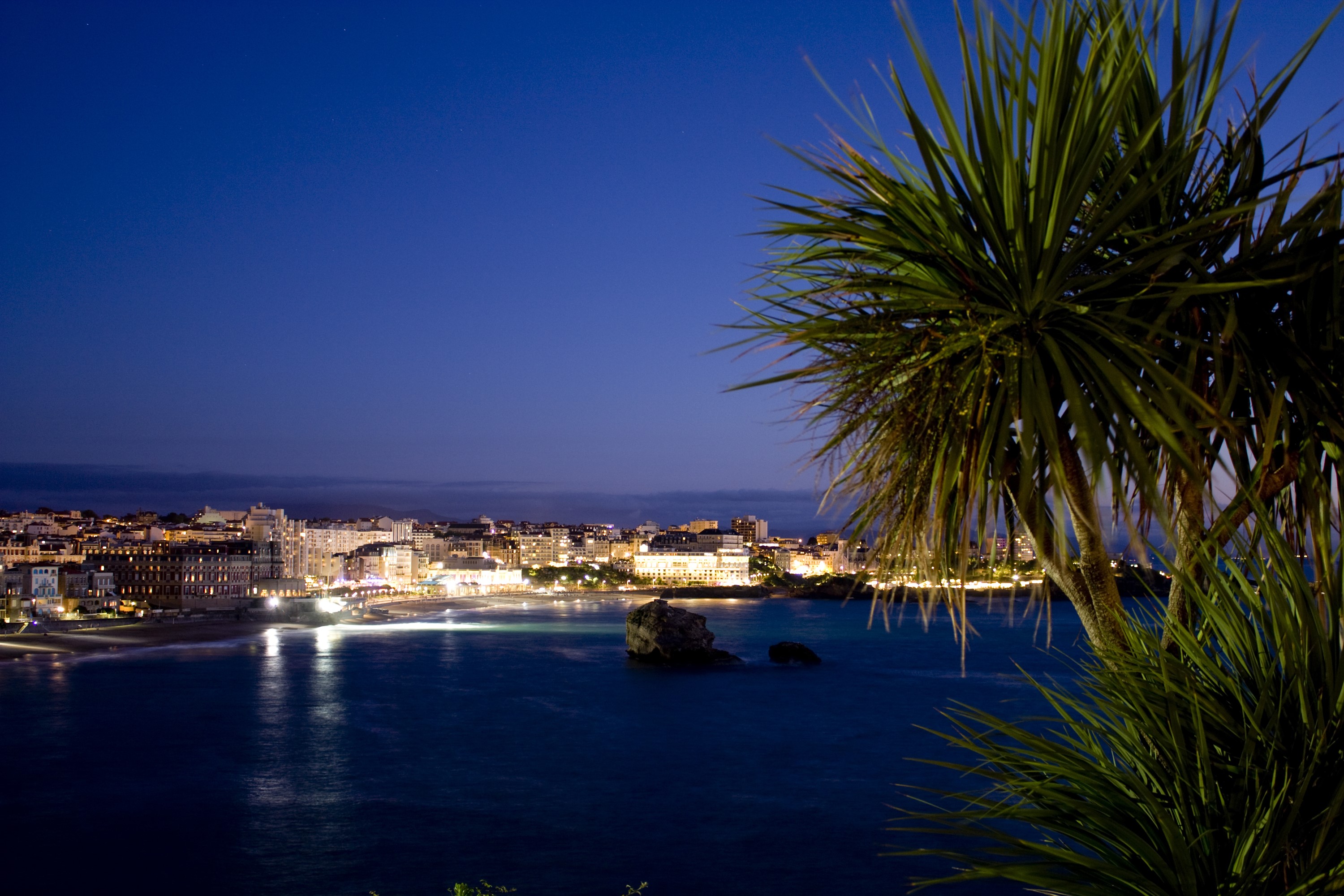 Biarritz at night with palm trees and bay HD Wallpaper