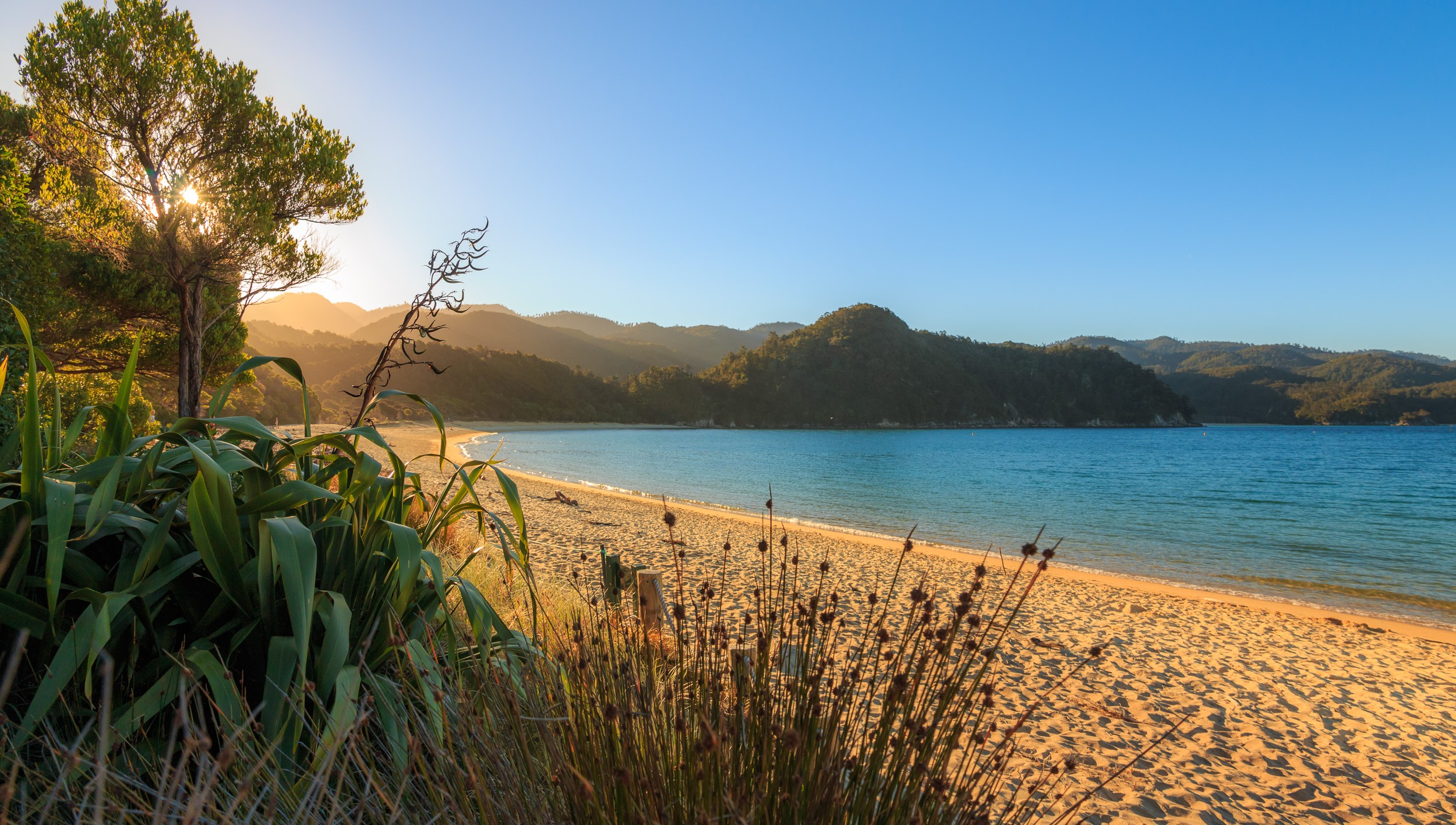 Beach at sunrise with trees and hills in Tasman, New Zealand HD Wallpaper
