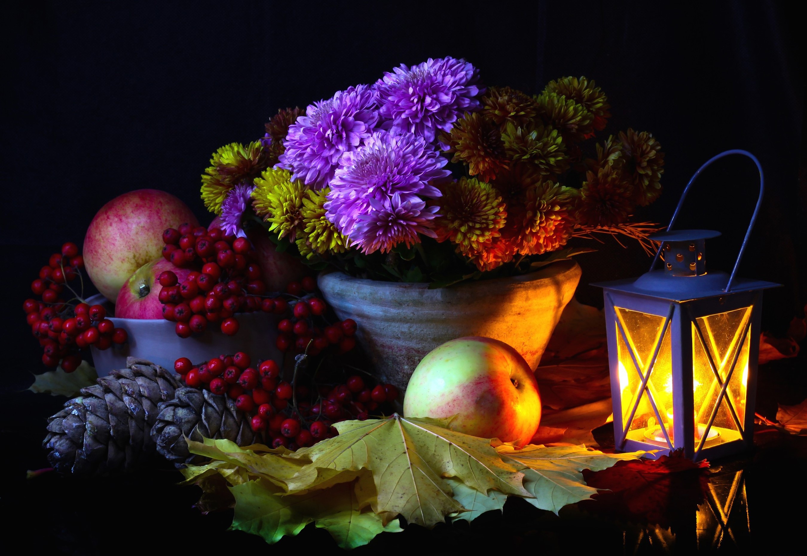 Still-life with asters, apples, berries, lantern, and pine cone HD Wallpaper