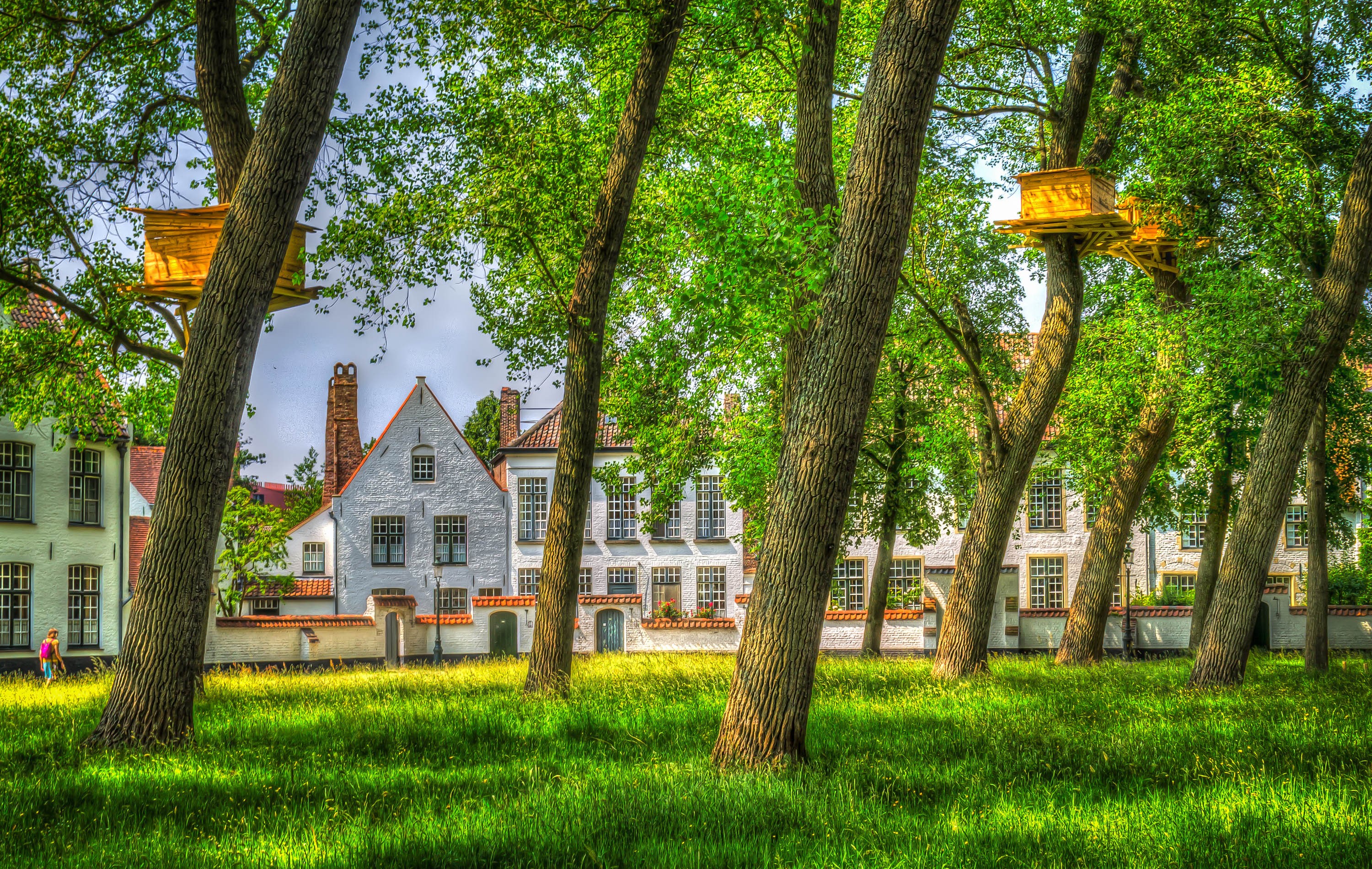 Beehives in trees with white houses in Bruges, Belgium HD Wallpaper